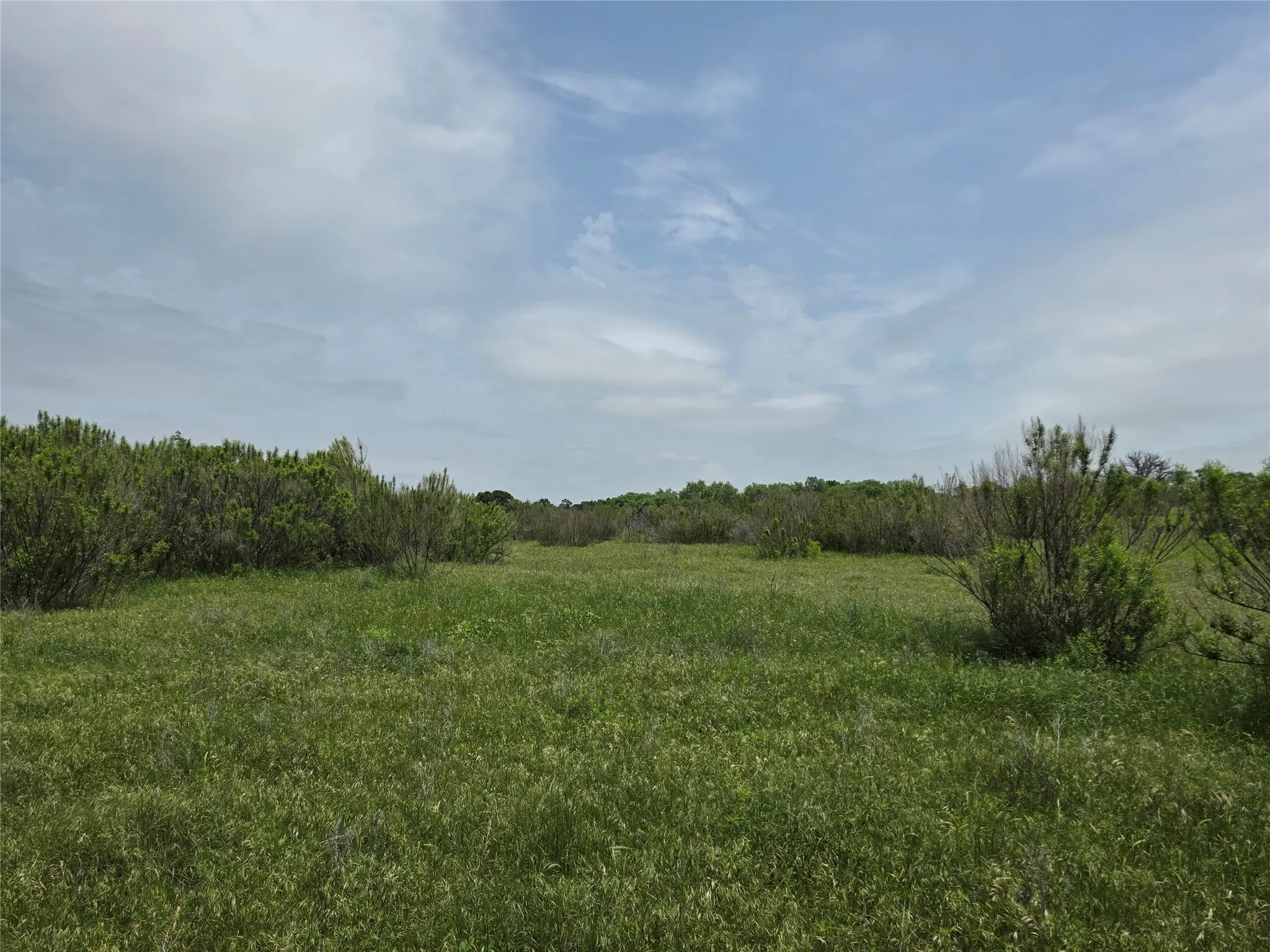 Ranch For Sale in Comanche County , 601 County Road 136, Comanche, Texas 76442, 0, 0, Garage spaces, 0 Sqft, built in 0, Price $624,875, mls#21271127, Real Estate Agent in Comanche, Homes For Sale in Comanche county, Homes For Sale in Comanche, Realtor in Comanche Texas, Real Estate Brokerage Independent Realty Texas, Luminita Cordes Realtor