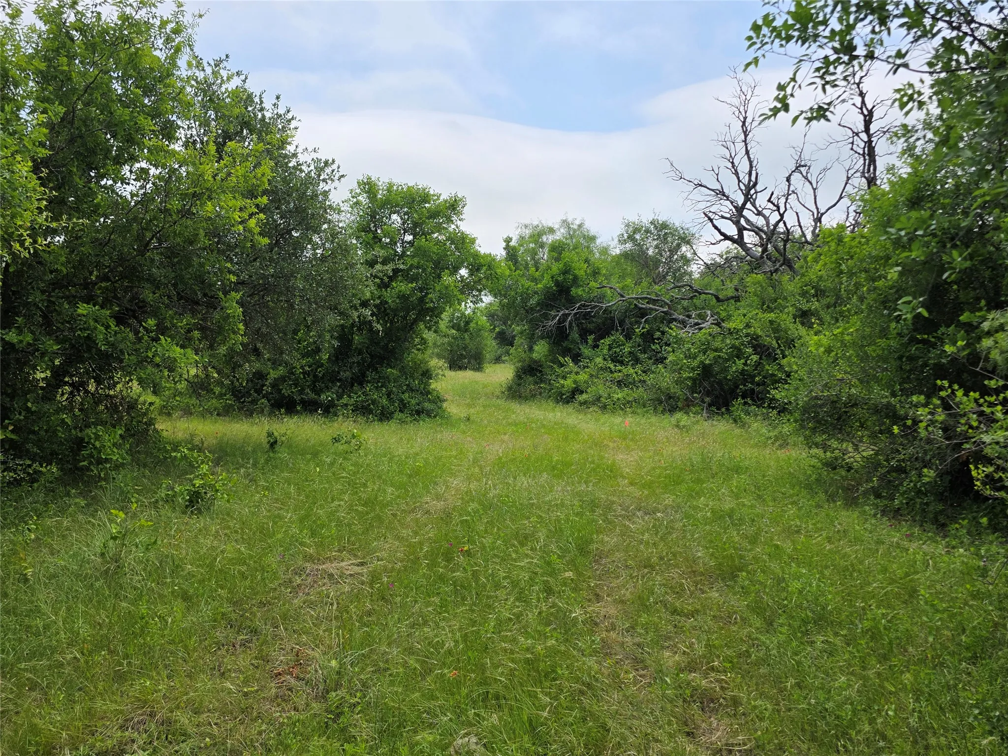 Ranch For Sale in Comanche County , 601 County Road 136, Comanche, Texas 76442, 0, 0, Garage spaces, 0 Sqft, built in 0, Price $624,875, mls#21271127, Real Estate Agent in Comanche, Homes For Sale in Comanche county, Homes For Sale in Comanche, Realtor in Comanche Texas, Real Estate Brokerage Independent Realty Texas, Luminita Cordes Realtor