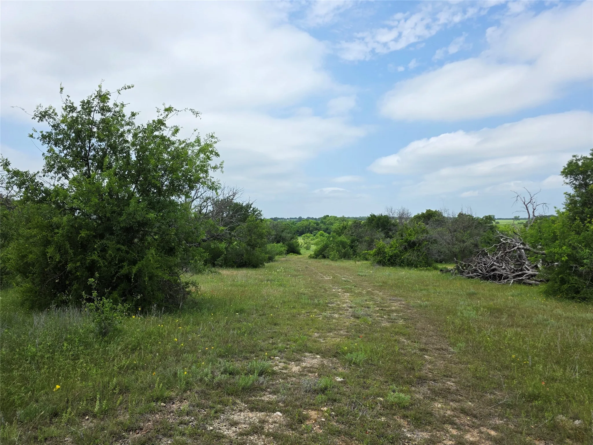 Ranch For Sale in Comanche County , 601 County Road 136, Comanche, Texas 76442, 0, 0, Garage spaces, 0 Sqft, built in 0, Price $624,875, mls#21271127, Real Estate Agent in Comanche, Homes For Sale in Comanche county, Homes For Sale in Comanche, Realtor in Comanche Texas, Real Estate Brokerage Independent Realty Texas, Luminita Cordes Realtor