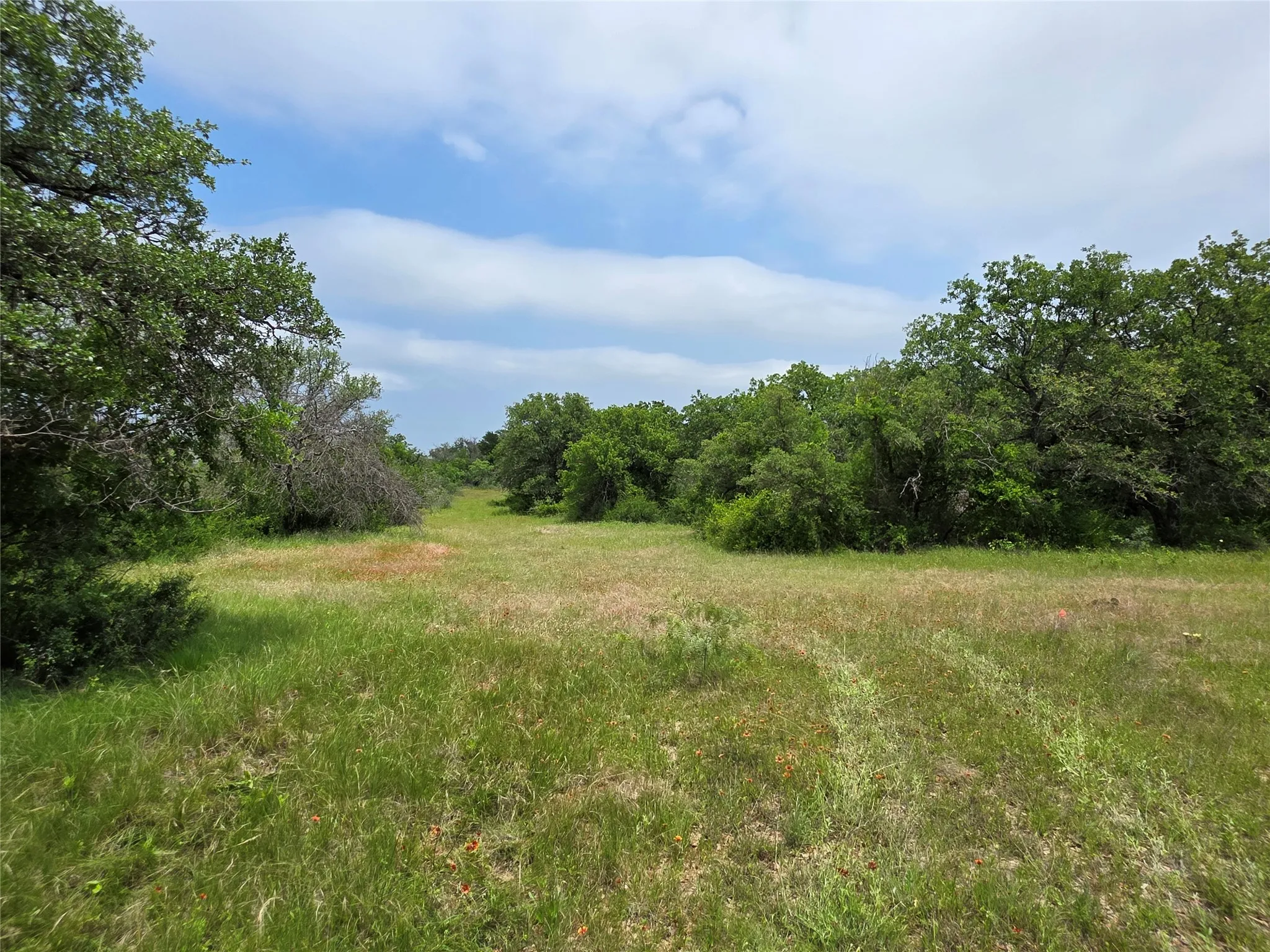 Ranch For Sale in Comanche County , 601 County Road 136, Comanche, Texas 76442, 0, 0, Garage spaces, 0 Sqft, built in 0, Price $624,875, mls#21271127, Real Estate Agent in Comanche, Homes For Sale in Comanche county, Homes For Sale in Comanche, Realtor in Comanche Texas, Real Estate Brokerage Independent Realty Texas, Luminita Cordes Realtor