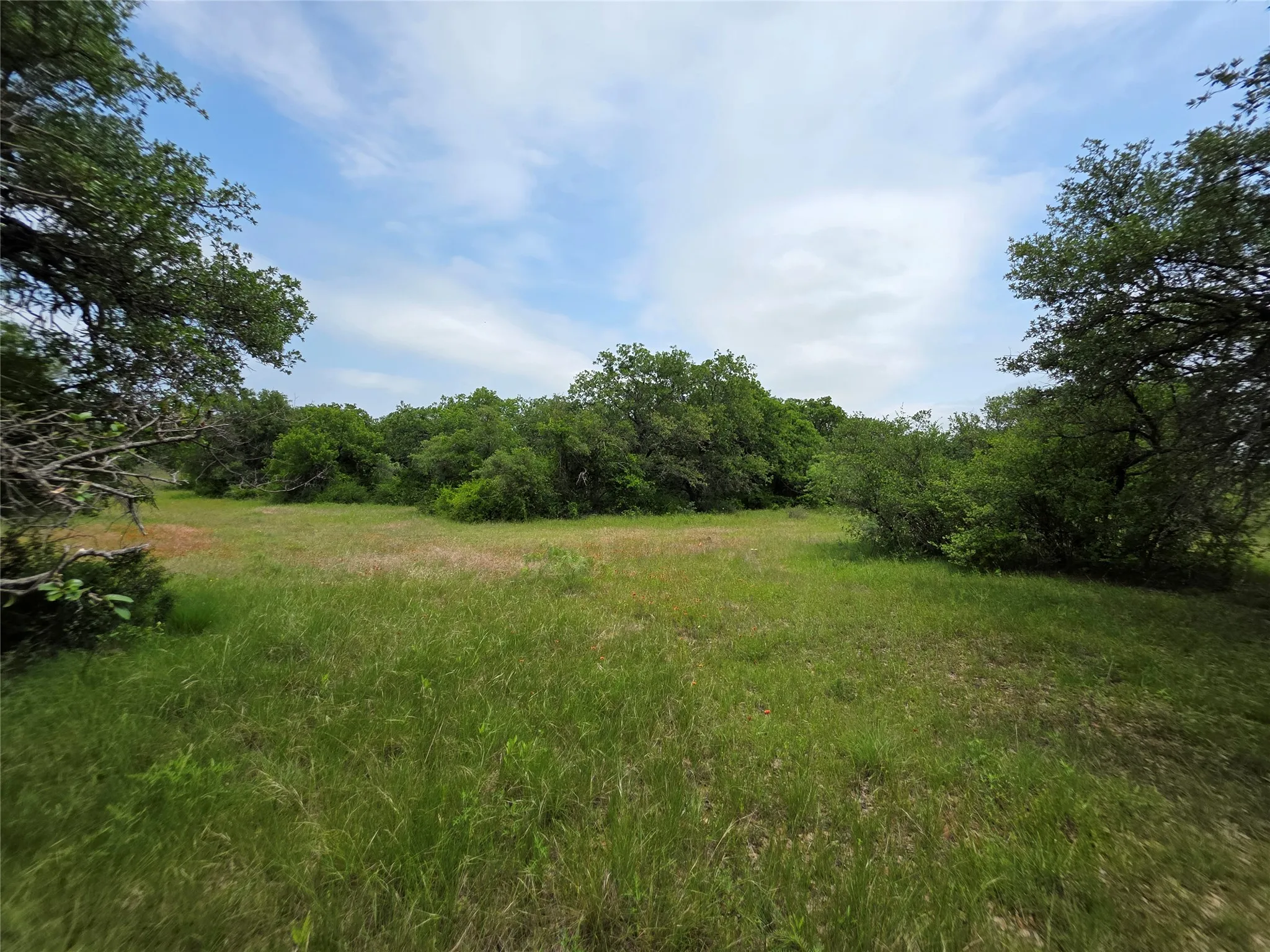 Ranch For Sale in Comanche County , 601 County Road 136, Comanche, Texas 76442, 0, 0, Garage spaces, 0 Sqft, built in 0, Price $624,875, mls#21271127, Real Estate Agent in Comanche, Homes For Sale in Comanche county, Homes For Sale in Comanche, Realtor in Comanche Texas, Real Estate Brokerage Independent Realty Texas, Luminita Cordes Realtor