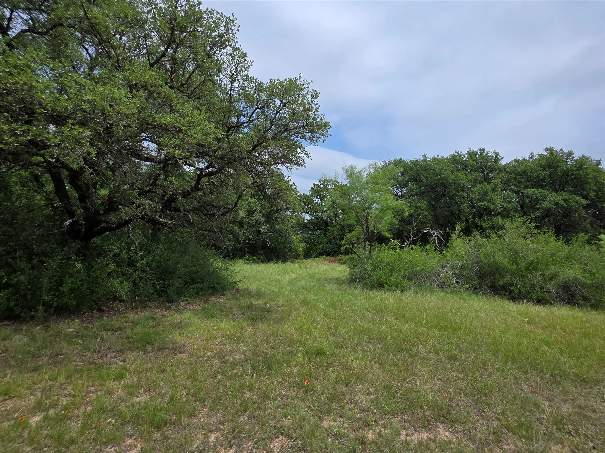 Ranch For Sale in Comanche County , 601 County Road 136, Comanche, Texas 76442, 0, 0, Garage spaces, 0 Sqft, built in 0, Price $624,875, mls#21271127, Real Estate Agent in Comanche, Homes For Sale in Comanche county, Homes For Sale in Comanche, Realtor in Comanche Texas, Real Estate Brokerage Independent Realty Texas, Luminita Cordes Realtor