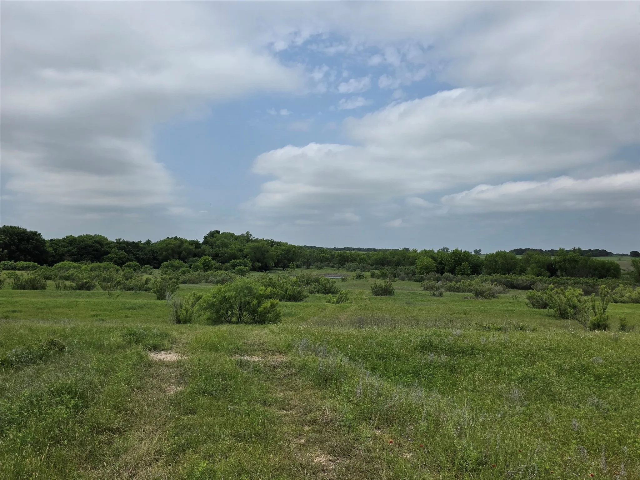 Ranch For Sale in Comanche County , 601 County Road 136, Comanche, Texas 76442, 0, 0, Garage spaces, 0 Sqft, built in 0, Price $624,875, mls#21271127, Real Estate Agent in Comanche, Homes For Sale in Comanche county, Homes For Sale in Comanche, Realtor in Comanche Texas, Real Estate Brokerage Independent Realty Texas, Luminita Cordes Realtor