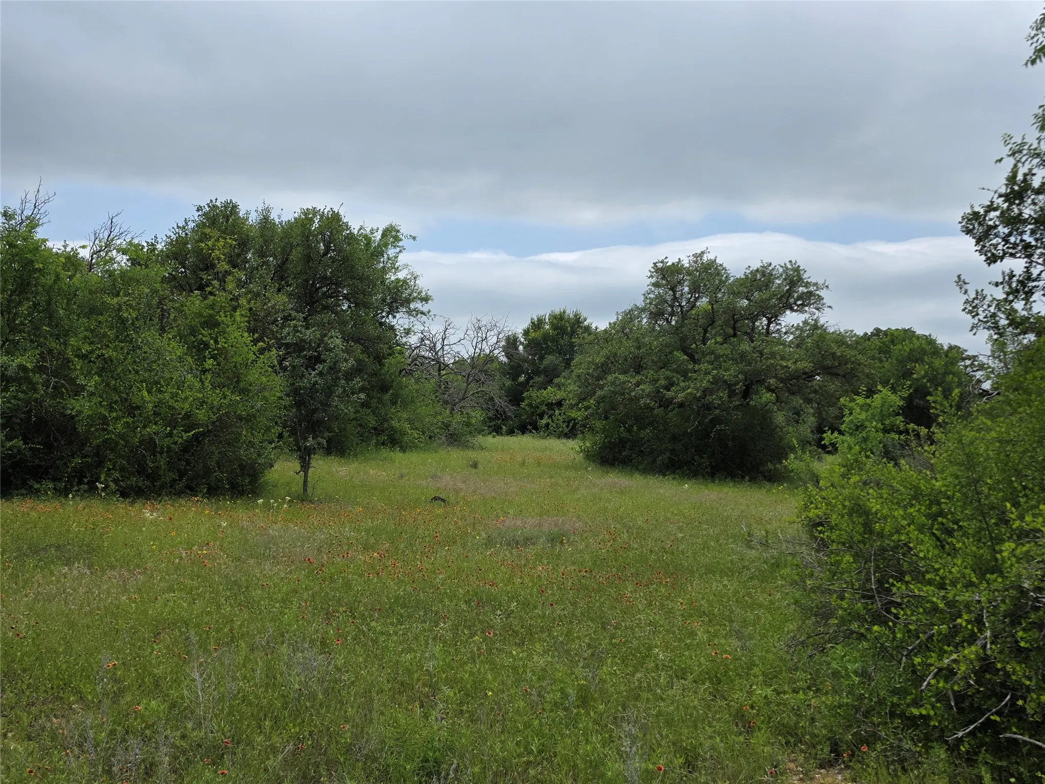 Ranch For Sale in Comanche County , 601 County Road 136, Comanche, Texas 76442, 0, 0, Garage spaces, 0 Sqft, built in 0, Price $624,875, mls#21271127, Real Estate Agent in Comanche, Homes For Sale in Comanche county, Homes For Sale in Comanche, Realtor in Comanche Texas, Real Estate Brokerage Independent Realty Texas, Luminita Cordes Realtor