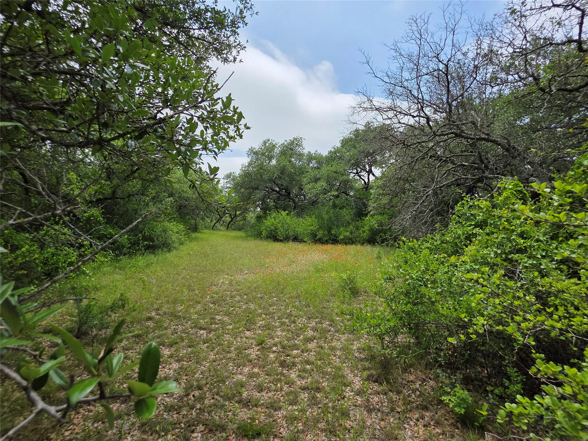 Ranch For Sale in Comanche County , 601 County Road 136, Comanche, Texas 76442, 0, 0, Garage spaces, 0 Sqft, built in 0, Price $624,875, mls#21271127, Real Estate Agent in Comanche, Homes For Sale in Comanche county, Homes For Sale in Comanche, Realtor in Comanche Texas, Real Estate Brokerage Independent Realty Texas, Luminita Cordes Realtor