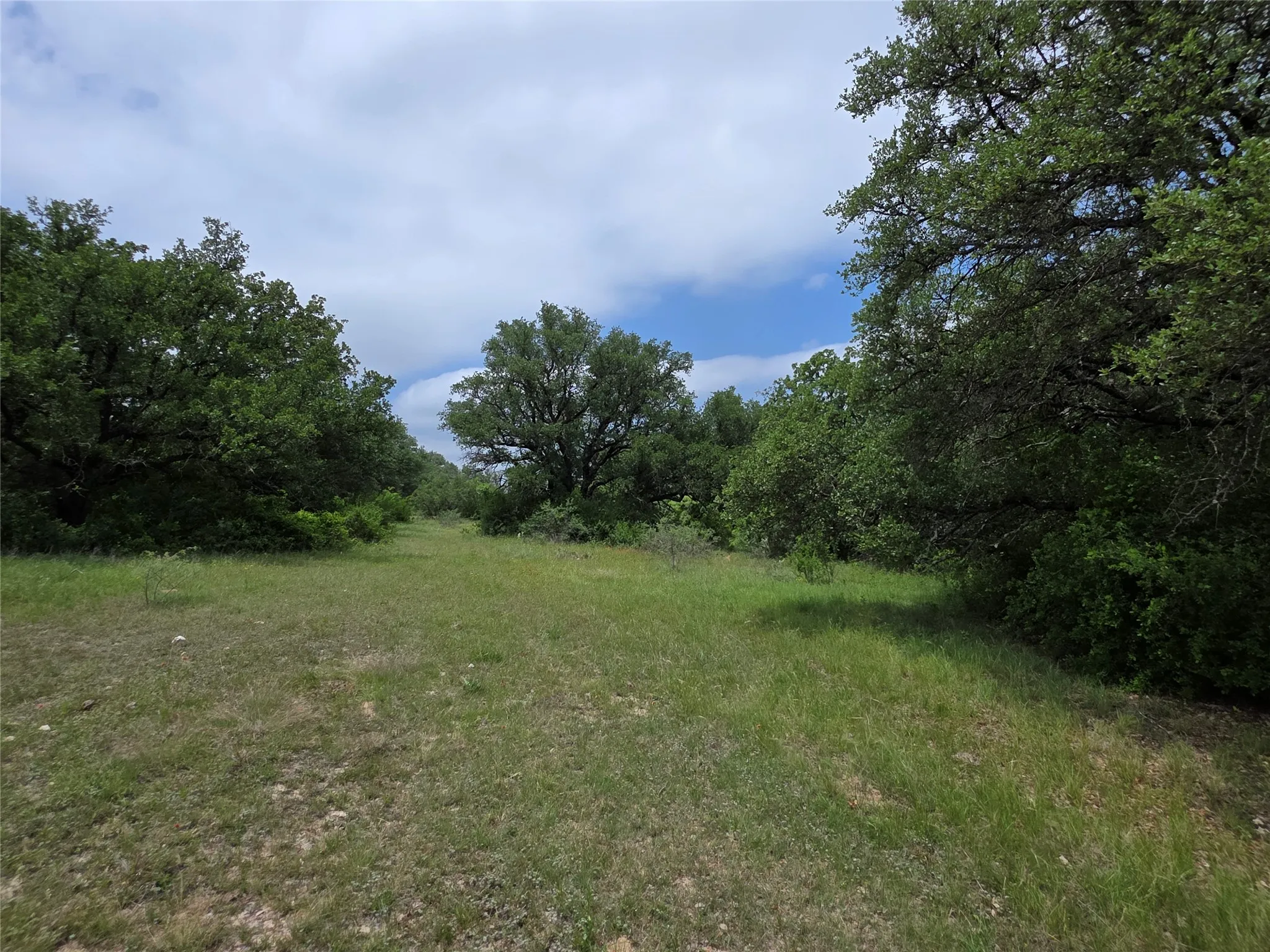 Ranch For Sale in Comanche County , 601 County Road 136, Comanche, Texas 76442, 0, 0, Garage spaces, 0 Sqft, built in 0, Price $624,875, mls#21271127, Real Estate Agent in Comanche, Homes For Sale in Comanche county, Homes For Sale in Comanche, Realtor in Comanche Texas, Real Estate Brokerage Independent Realty Texas, Luminita Cordes Realtor