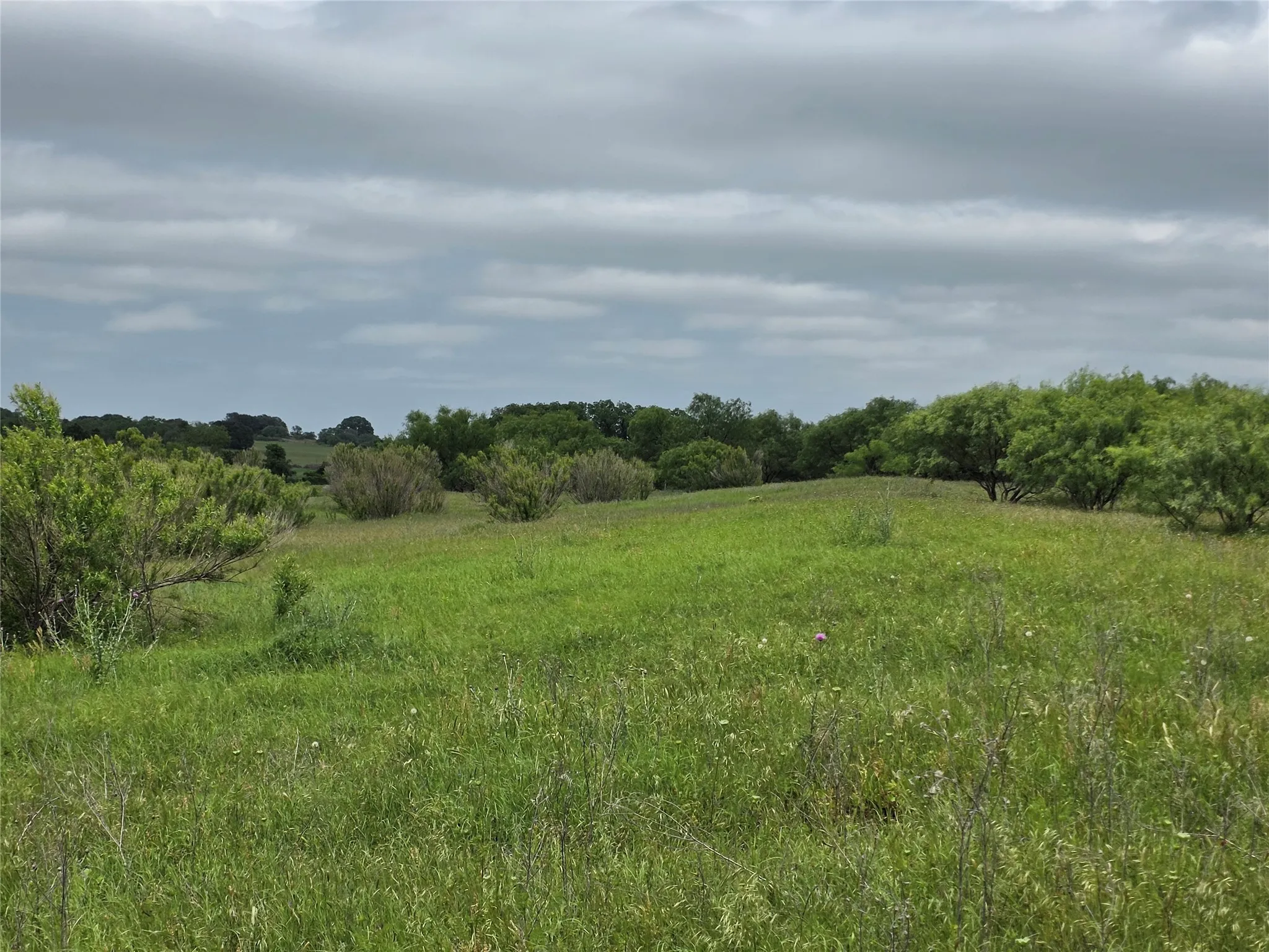 Ranch For Sale in Comanche County , 601 County Road 136, Comanche, Texas 76442, 0, 0, Garage spaces, 0 Sqft, built in 0, Price $624,875, mls#21271127, Real Estate Agent in Comanche, Homes For Sale in Comanche county, Homes For Sale in Comanche, Realtor in Comanche Texas, Real Estate Brokerage Independent Realty Texas, Luminita Cordes Realtor