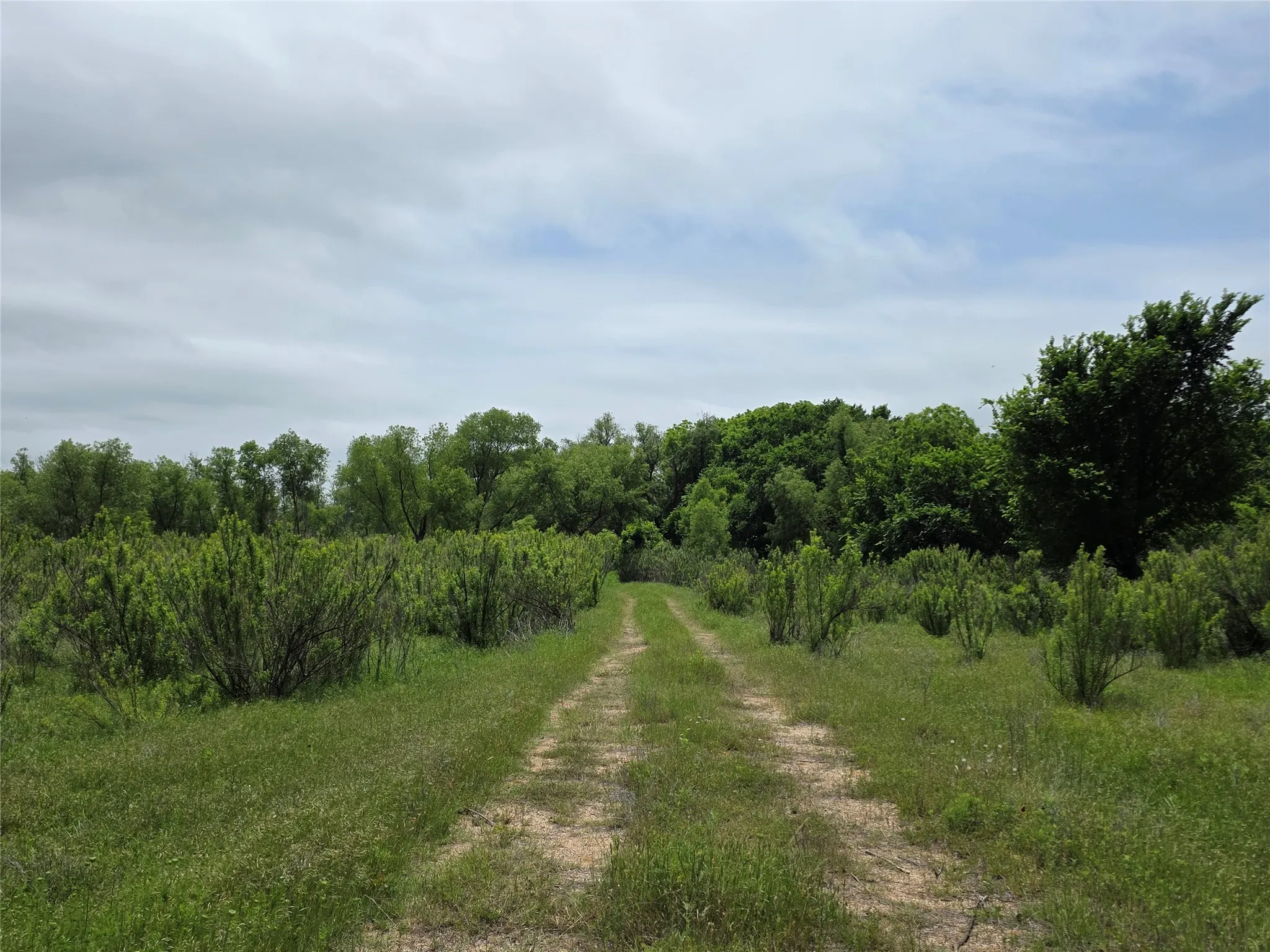 Ranch For Sale in Comanche County , 601 County Road 136, Comanche, Texas 76442, 0, 0, Garage spaces, 0 Sqft, built in 0, Price $624,875, mls#21271127, Real Estate Agent in Comanche, Homes For Sale in Comanche county, Homes For Sale in Comanche, Realtor in Comanche Texas, Real Estate Brokerage Independent Realty Texas, Luminita Cordes Realtor