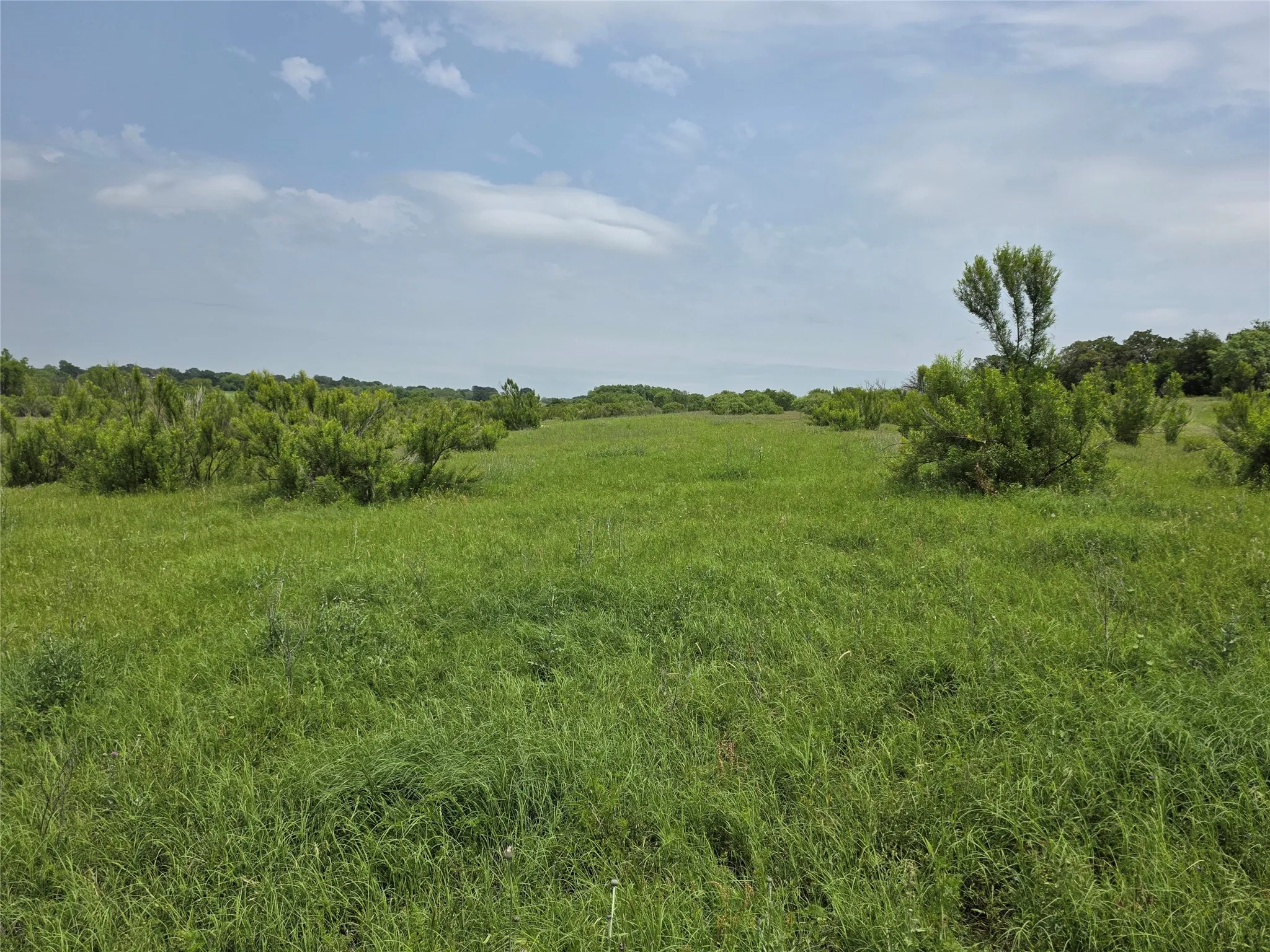 Ranch For Sale in Comanche County , 601 County Road 136, Comanche, Texas 76442, 0, 0, Garage spaces, 0 Sqft, built in 0, Price $624,875, mls#21271127, Real Estate Agent in Comanche, Homes For Sale in Comanche county, Homes For Sale in Comanche, Realtor in Comanche Texas, Real Estate Brokerage Independent Realty Texas, Luminita Cordes Realtor