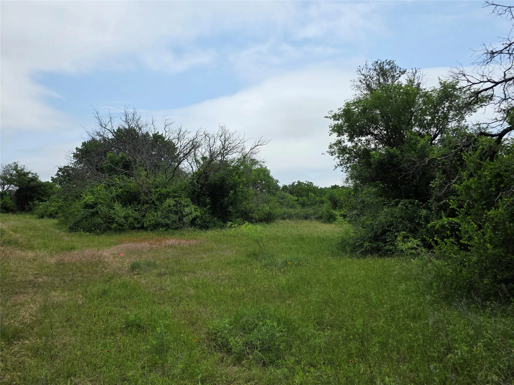 Ranch For Sale in Comanche County , 601 County Road 136, Comanche, Texas 76442, 0, 0, Garage spaces, 0 Sqft, built in 0, Price $624,875, mls#21271127, Real Estate Agent in Comanche, Homes For Sale in Comanche county, Homes For Sale in Comanche, Realtor in Comanche Texas, Real Estate Brokerage Independent Realty Texas, Luminita Cordes Realtor