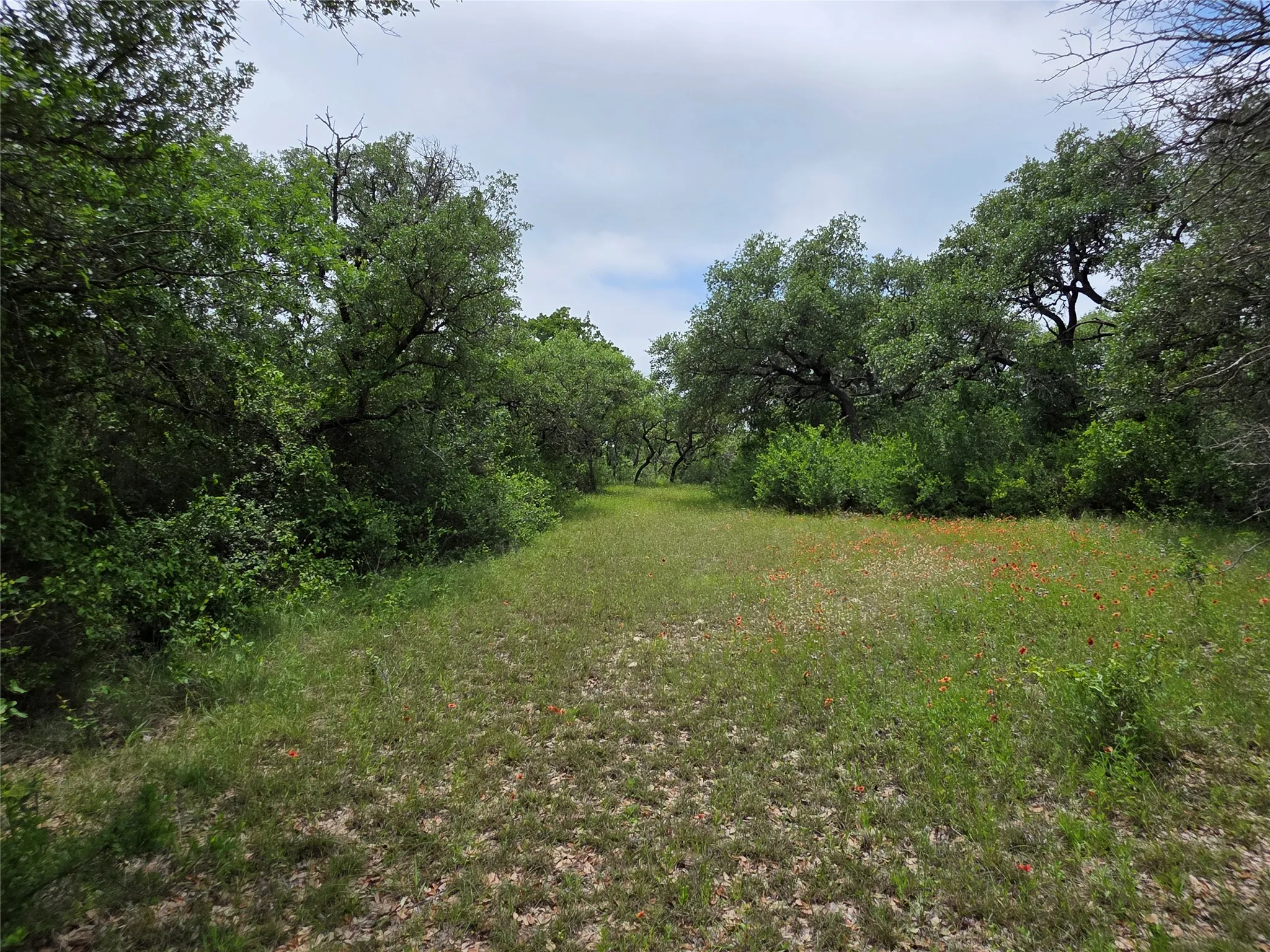 Ranch For Sale in Comanche County , 601 County Road 136, Comanche, Texas 76442, 0, 0, Garage spaces, 0 Sqft, built in 0, Price $624,875, mls#21271127, Real Estate Agent in Comanche, Homes For Sale in Comanche county, Homes For Sale in Comanche, Realtor in Comanche Texas, Real Estate Brokerage Independent Realty Texas, Luminita Cordes Realtor