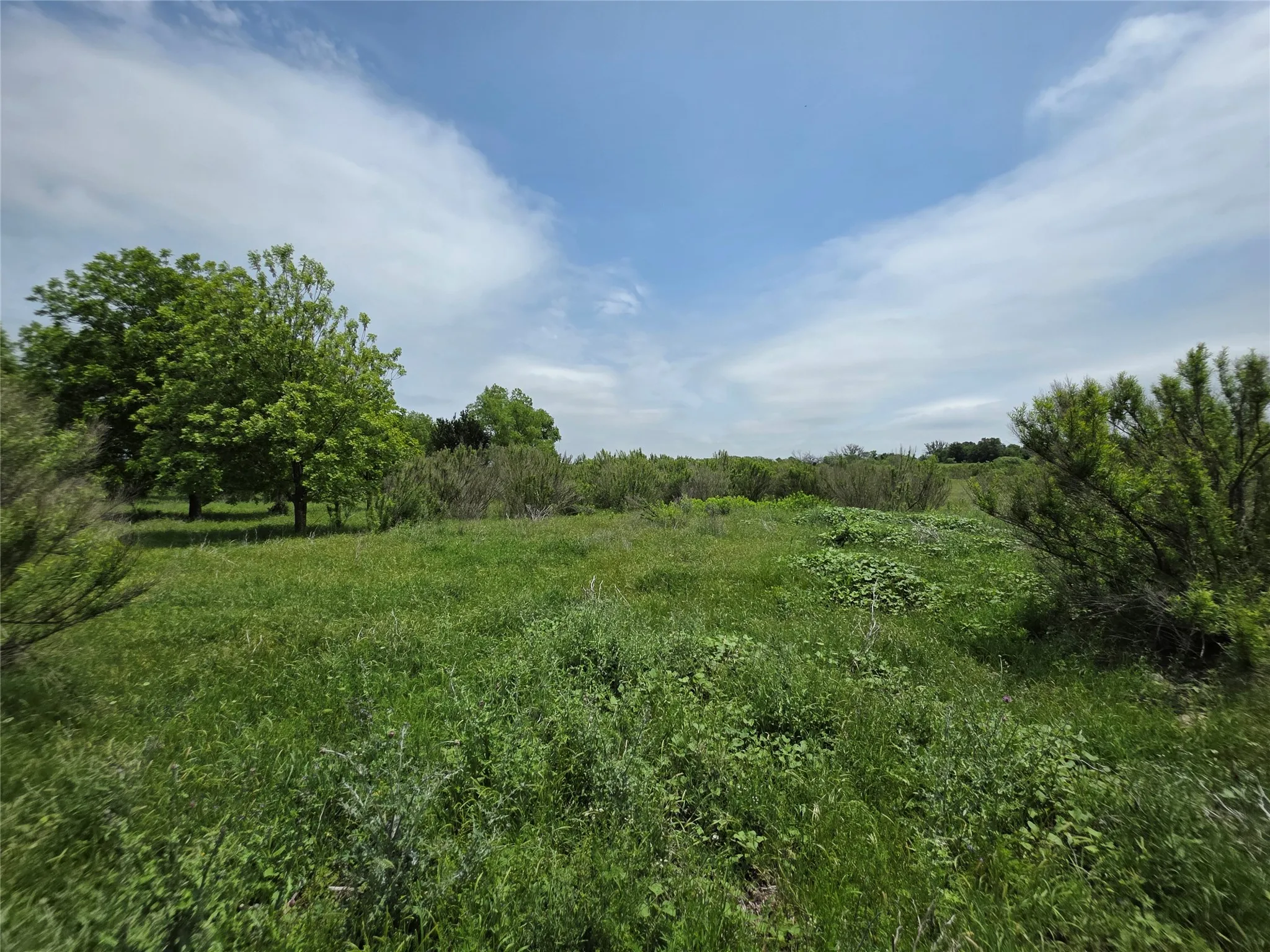 Ranch For Sale in Comanche County , 601 County Road 136, Comanche, Texas 76442, 0, 0, Garage spaces, 0 Sqft, built in 0, Price $624,875, mls#21271127, Real Estate Agent in Comanche, Homes For Sale in Comanche county, Homes For Sale in Comanche, Realtor in Comanche Texas, Real Estate Brokerage Independent Realty Texas, Luminita Cordes Realtor