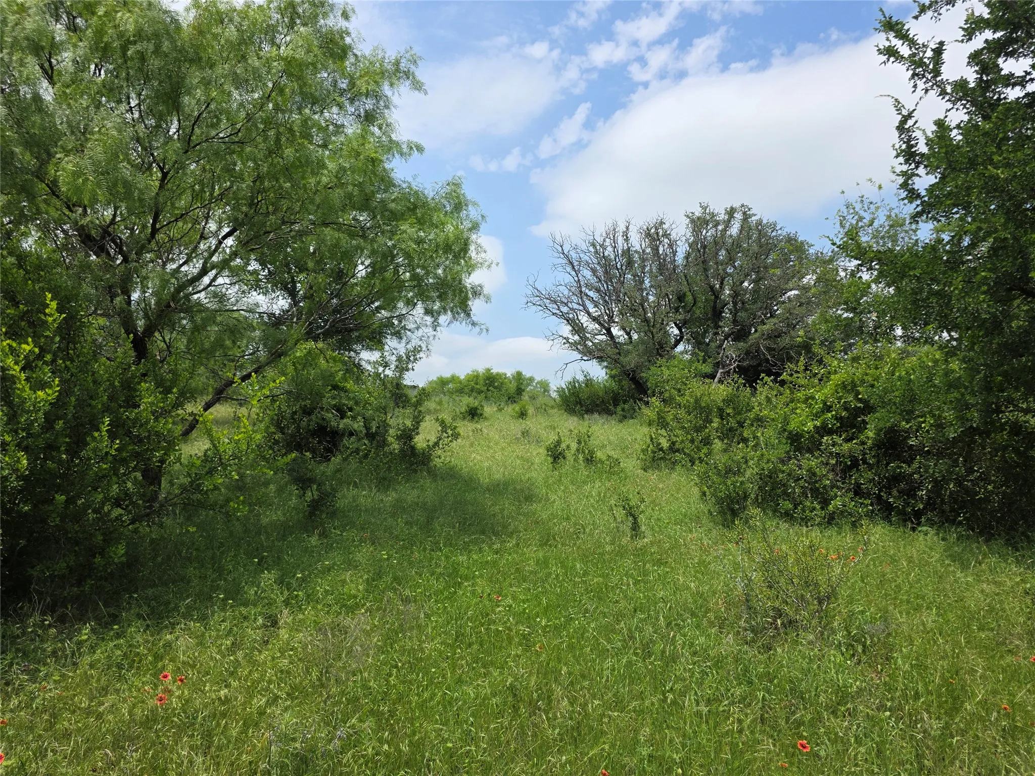 Ranch For Sale in Comanche County , 601 County Road 136, Comanche, Texas 76442, 0, 0, Garage spaces, 0 Sqft, built in 0, Price $624,875, mls#21271127, Real Estate Agent in Comanche, Homes For Sale in Comanche county, Homes For Sale in Comanche, Realtor in Comanche Texas, Real Estate Brokerage Independent Realty Texas, Luminita Cordes Realtor