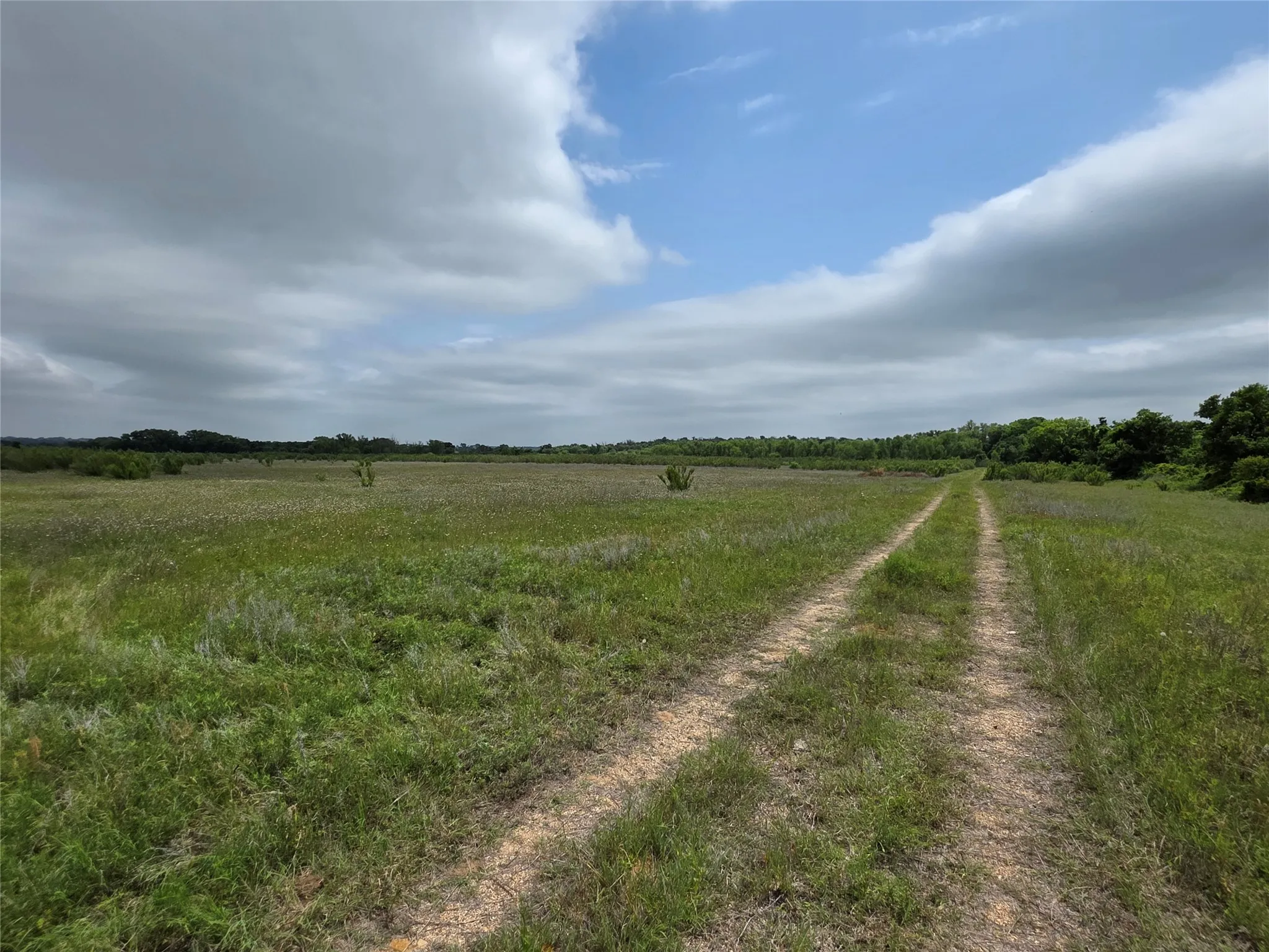 Ranch For Sale in Comanche County , 601 County Road 136, Comanche, Texas 76442, 0, 0, Garage spaces, 0 Sqft, built in 0, Price $624,875, mls#21271127, Real Estate Agent in Comanche, Homes For Sale in Comanche county, Homes For Sale in Comanche, Realtor in Comanche Texas, Real Estate Brokerage Independent Realty Texas, Luminita Cordes Realtor