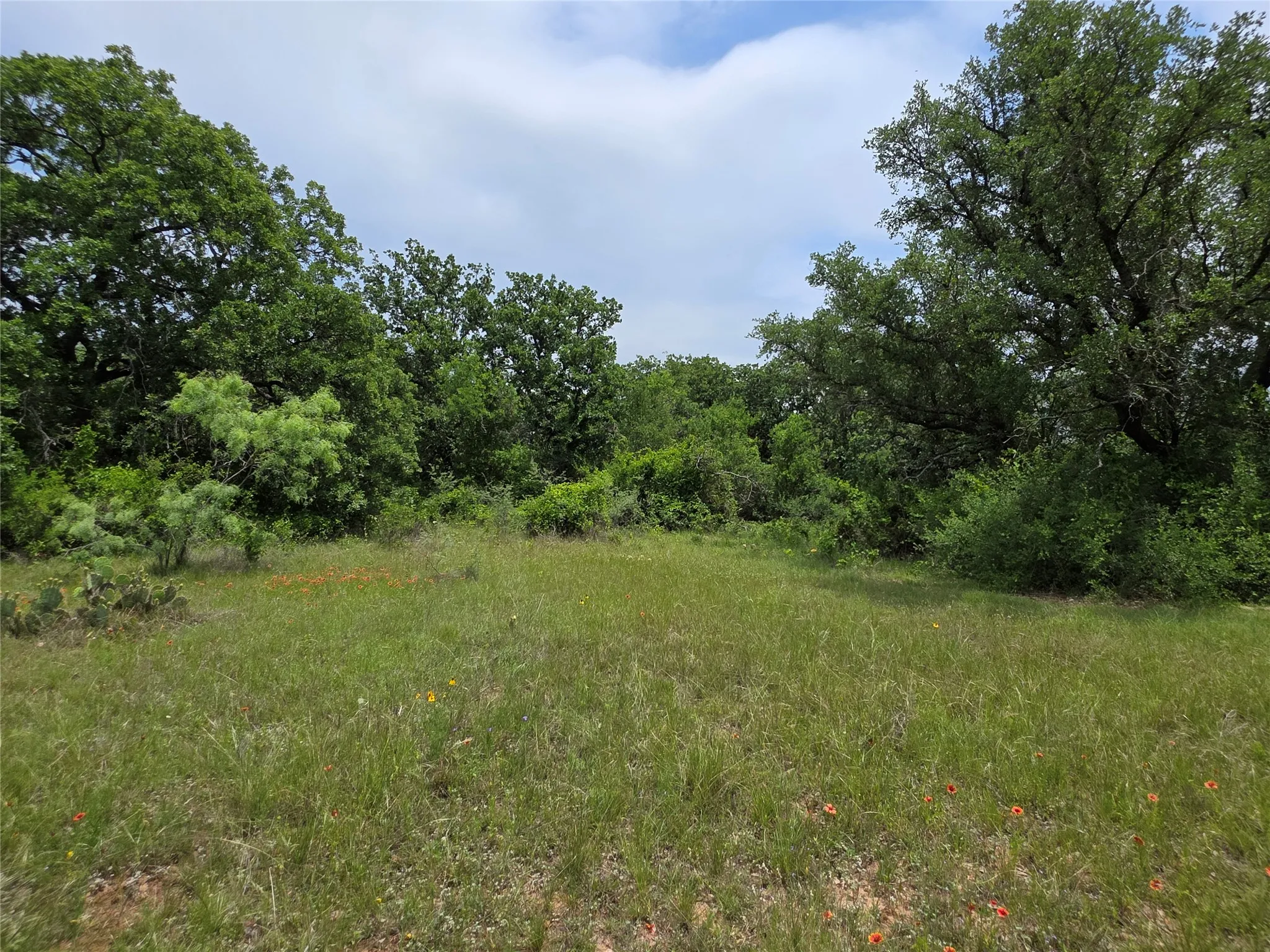 Ranch For Sale in Comanche County , 601 County Road 136, Comanche, Texas 76442, 0, 0, Garage spaces, 0 Sqft, built in 0, Price $624,875, mls#21271127, Real Estate Agent in Comanche, Homes For Sale in Comanche county, Homes For Sale in Comanche, Realtor in Comanche Texas, Real Estate Brokerage Independent Realty Texas, Luminita Cordes Realtor