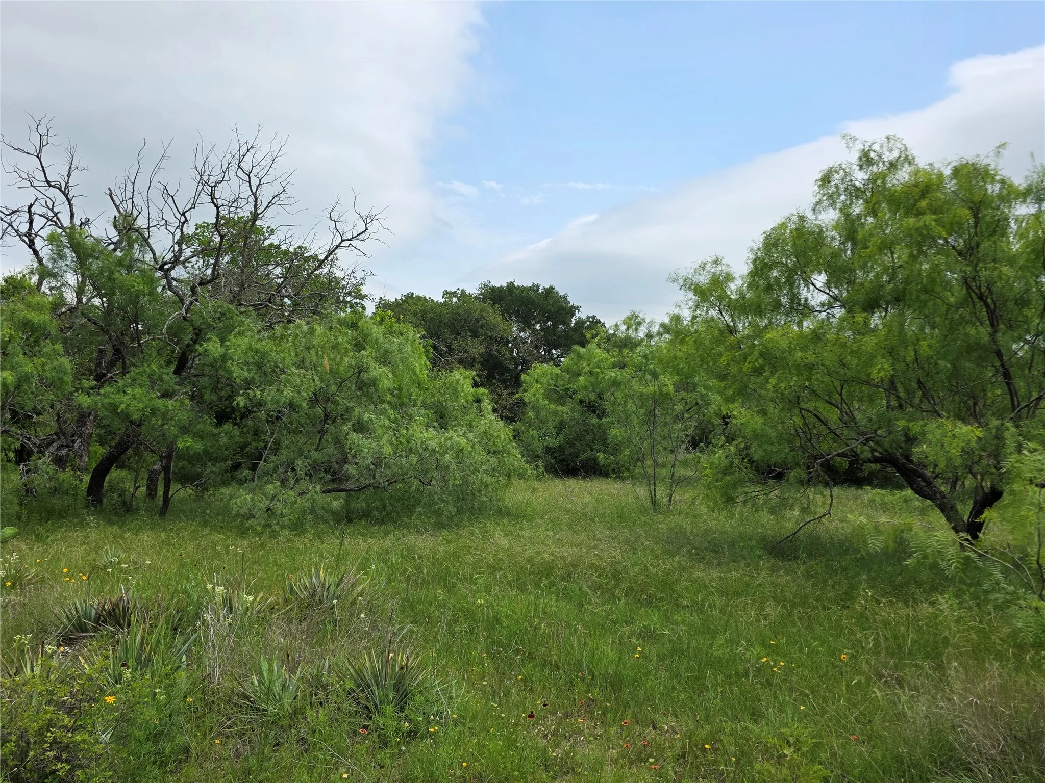 Ranch For Sale in Comanche County , 601 County Road 136, Comanche, Texas 76442, 0, 0, Garage spaces, 0 Sqft, built in 0, Price $624,875, mls#21271127, Real Estate Agent in Comanche, Homes For Sale in Comanche county, Homes For Sale in Comanche, Realtor in Comanche Texas, Real Estate Brokerage Independent Realty Texas, Luminita Cordes Realtor