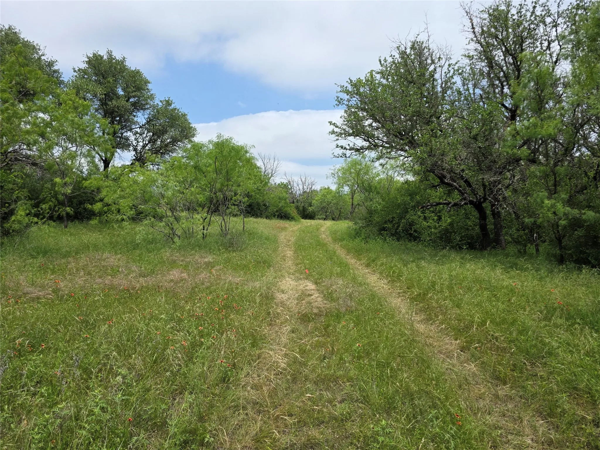 Ranch For Sale in Comanche County , 601 County Road 136, Comanche, Texas 76442, 0, 0, Garage spaces, 0 Sqft, built in 0, Price $624,875, mls#21271127, Real Estate Agent in Comanche, Homes For Sale in Comanche county, Homes For Sale in Comanche, Realtor in Comanche Texas, Real Estate Brokerage Independent Realty Texas, Luminita Cordes Realtor