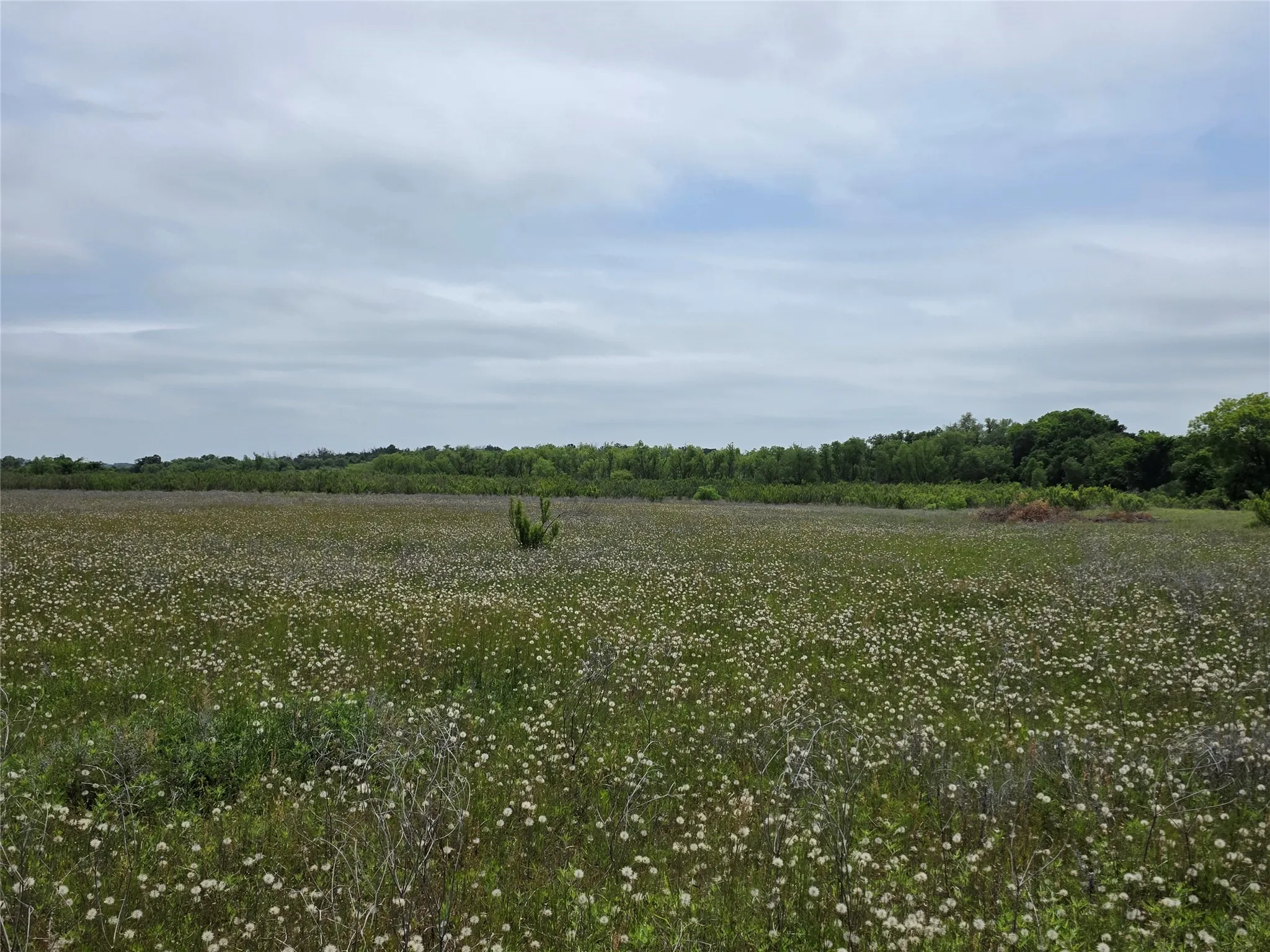 Ranch For Sale in Comanche County , 601 County Road 136, Comanche, Texas 76442, 0, 0, Garage spaces, 0 Sqft, built in 0, Price $624,875, mls#21271127, Real Estate Agent in Comanche, Homes For Sale in Comanche county, Homes For Sale in Comanche, Realtor in Comanche Texas, Real Estate Brokerage Independent Realty Texas, Luminita Cordes Realtor