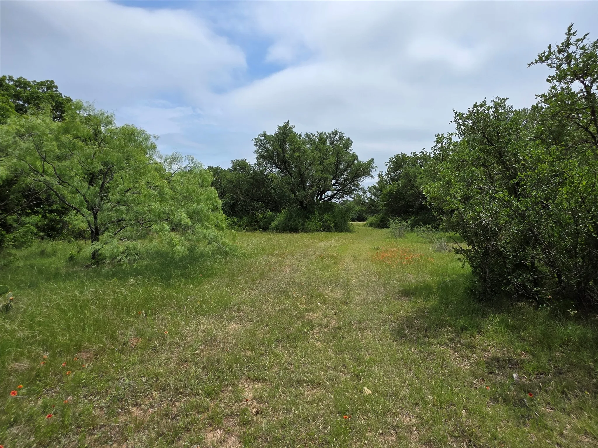 Ranch For Sale in Comanche County , 601 County Road 136, Comanche, Texas 76442, 0, 0, Garage spaces, 0 Sqft, built in 0, Price $624,875, mls#21271127, Real Estate Agent in Comanche, Homes For Sale in Comanche county, Homes For Sale in Comanche, Realtor in Comanche Texas, Real Estate Brokerage Independent Realty Texas, Luminita Cordes Realtor