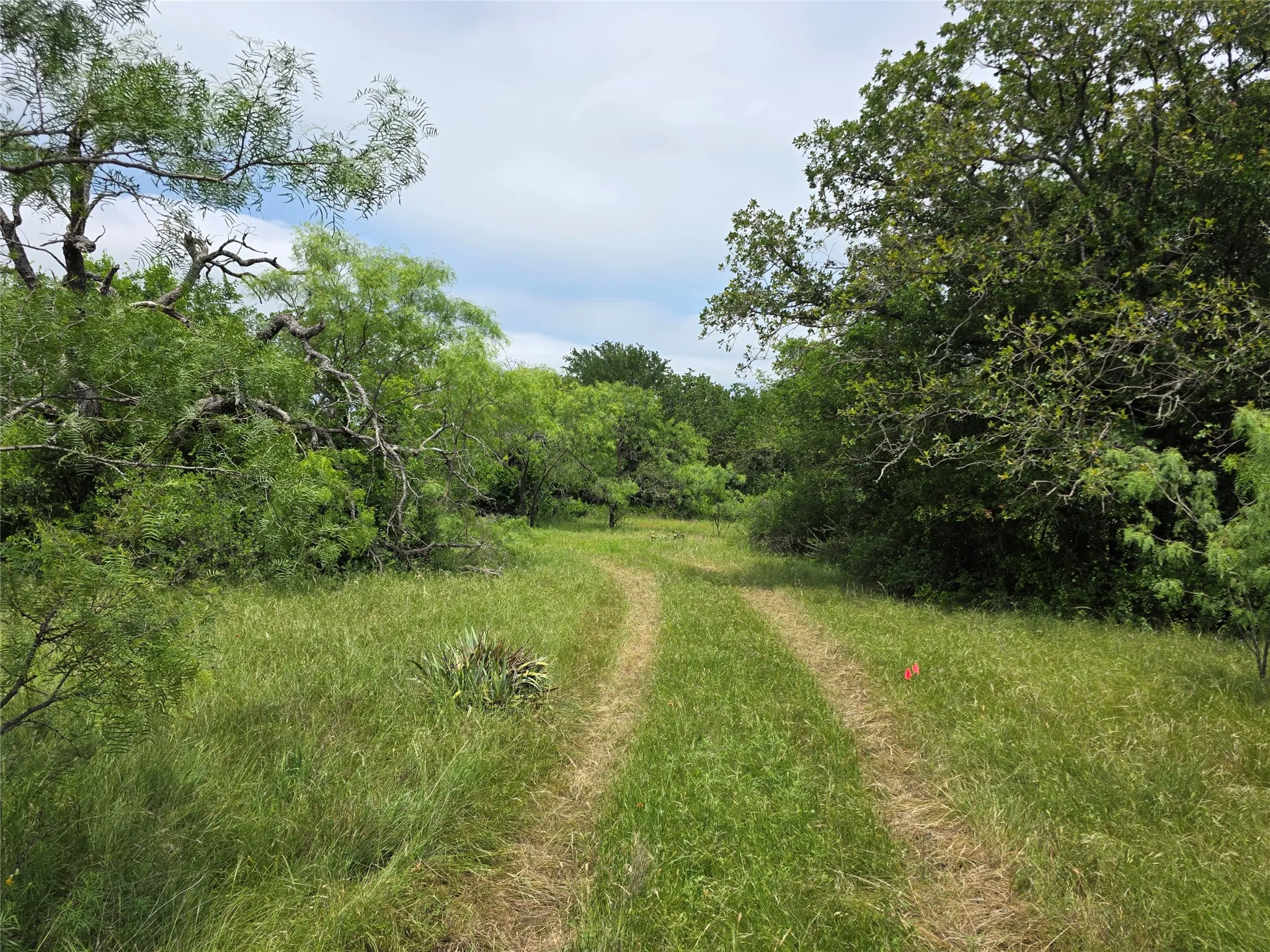 Ranch For Sale in Comanche County , 601 County Road 136, Comanche, Texas 76442, 0, 0, Garage spaces, 0 Sqft, built in 0, Price $624,875, mls#21271127, Real Estate Agent in Comanche, Homes For Sale in Comanche county, Homes For Sale in Comanche, Realtor in Comanche Texas, Real Estate Brokerage Independent Realty Texas, Luminita Cordes Realtor