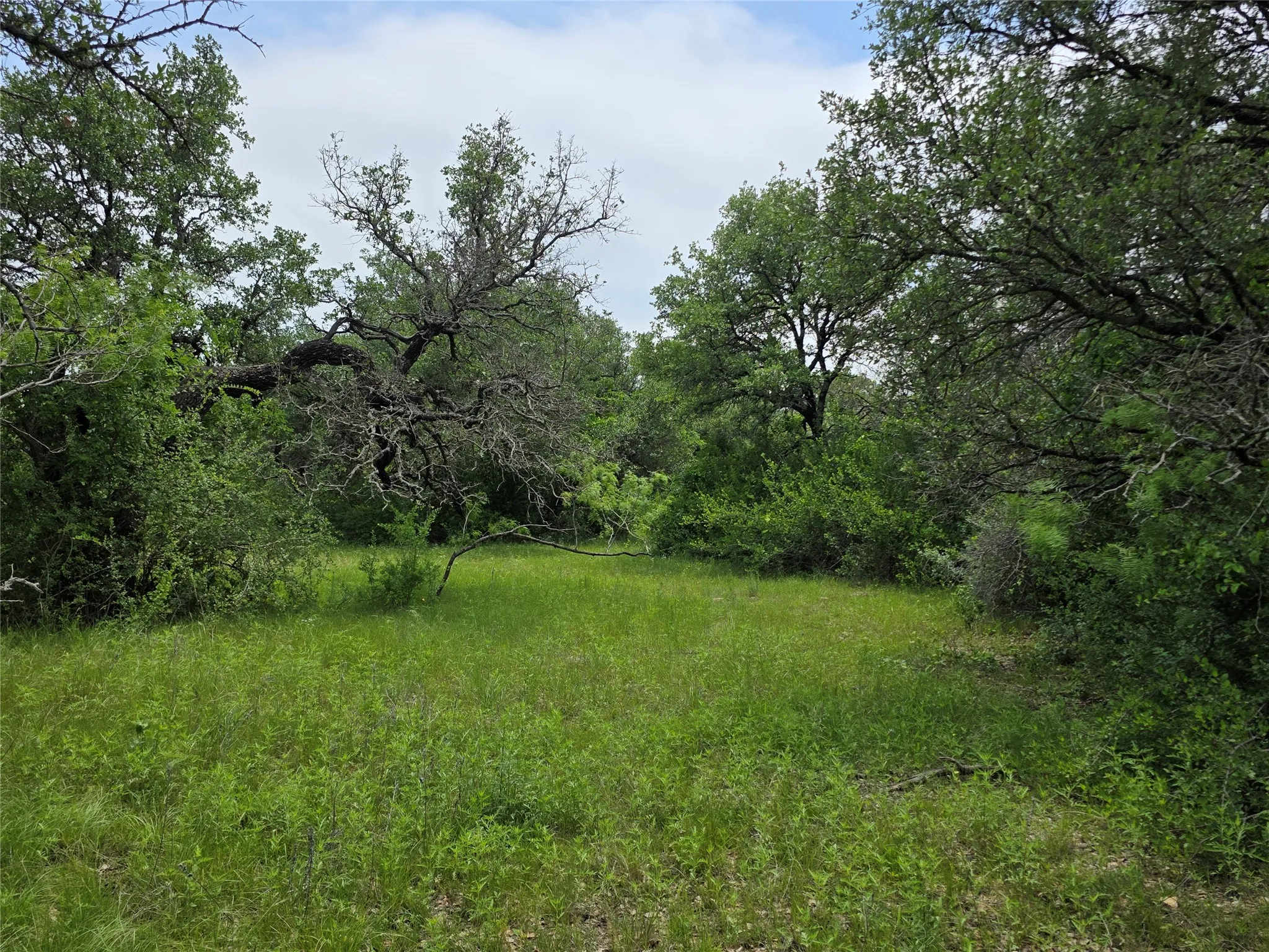 Ranch For Sale in Comanche County , 601 County Road 136, Comanche, Texas 76442, 0, 0, Garage spaces, 0 Sqft, built in 0, Price $624,875, mls#21271127, Real Estate Agent in Comanche, Homes For Sale in Comanche county, Homes For Sale in Comanche, Realtor in Comanche Texas, Real Estate Brokerage Independent Realty Texas, Luminita Cordes Realtor