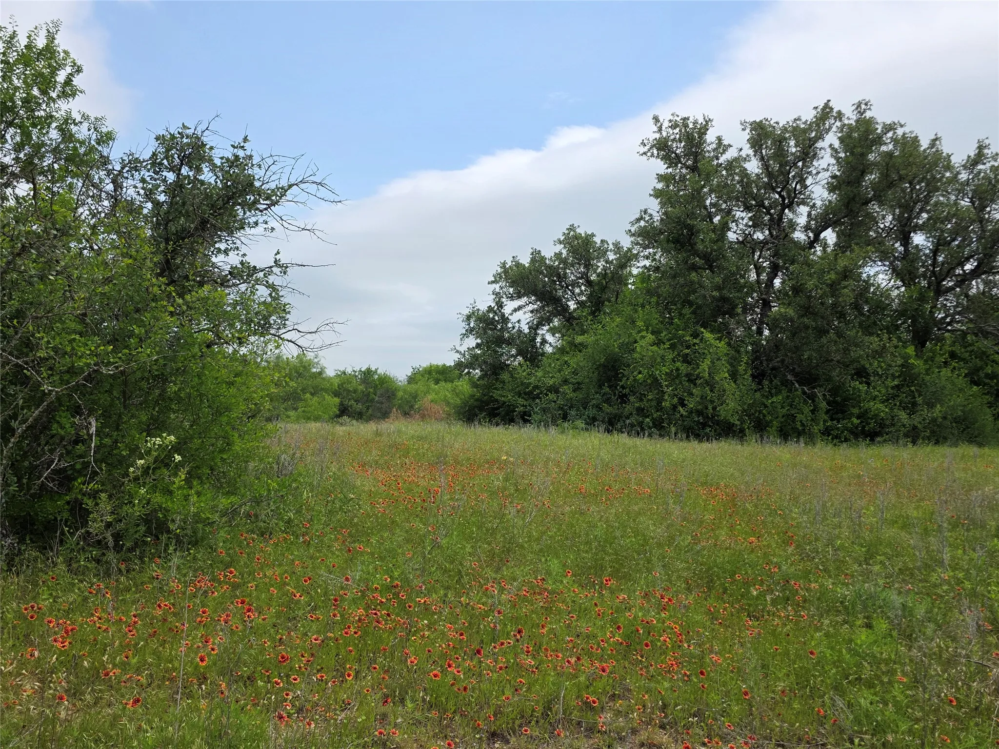 Ranch For Sale in Comanche County , 601 County Road 136, Comanche, Texas 76442, 0, 0, Garage spaces, 0 Sqft, built in 0, Price $624,875, mls#21271127, Real Estate Agent in Comanche, Homes For Sale in Comanche county, Homes For Sale in Comanche, Realtor in Comanche Texas, Real Estate Brokerage Independent Realty Texas, Luminita Cordes Realtor