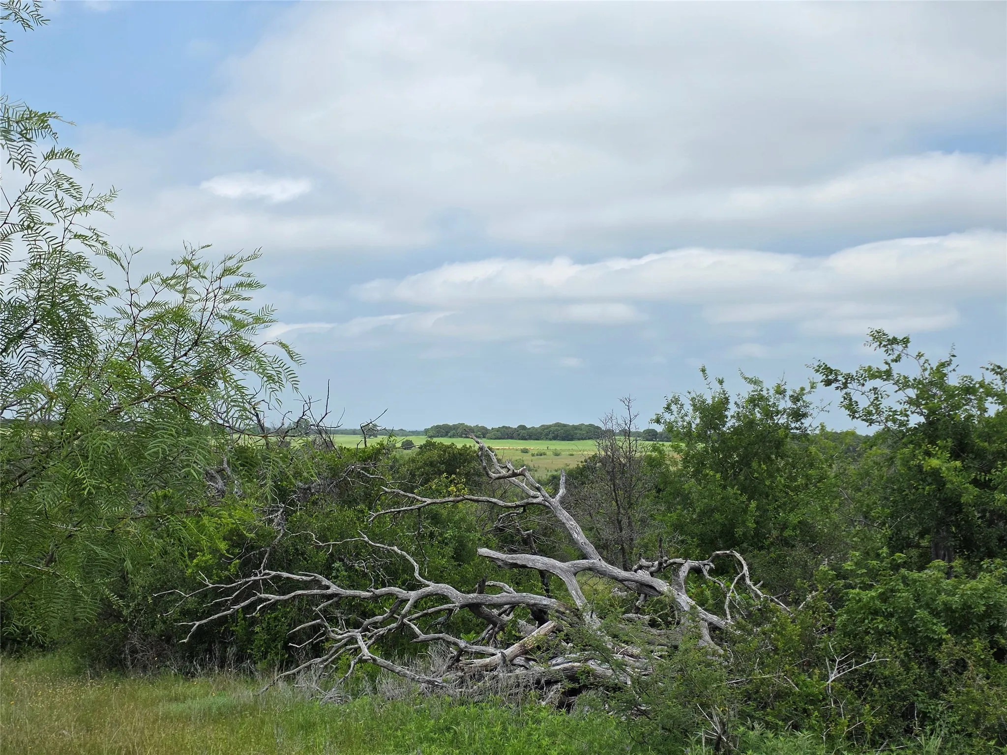 Ranch For Sale in Comanche County , 601 County Road 136, Comanche, Texas 76442, 0, 0, Garage spaces, 0 Sqft, built in 0, Price $624,875, mls#21271127, Real Estate Agent in Comanche, Homes For Sale in Comanche county, Homes For Sale in Comanche, Realtor in Comanche Texas, Real Estate Brokerage Independent Realty Texas, Luminita Cordes Realtor