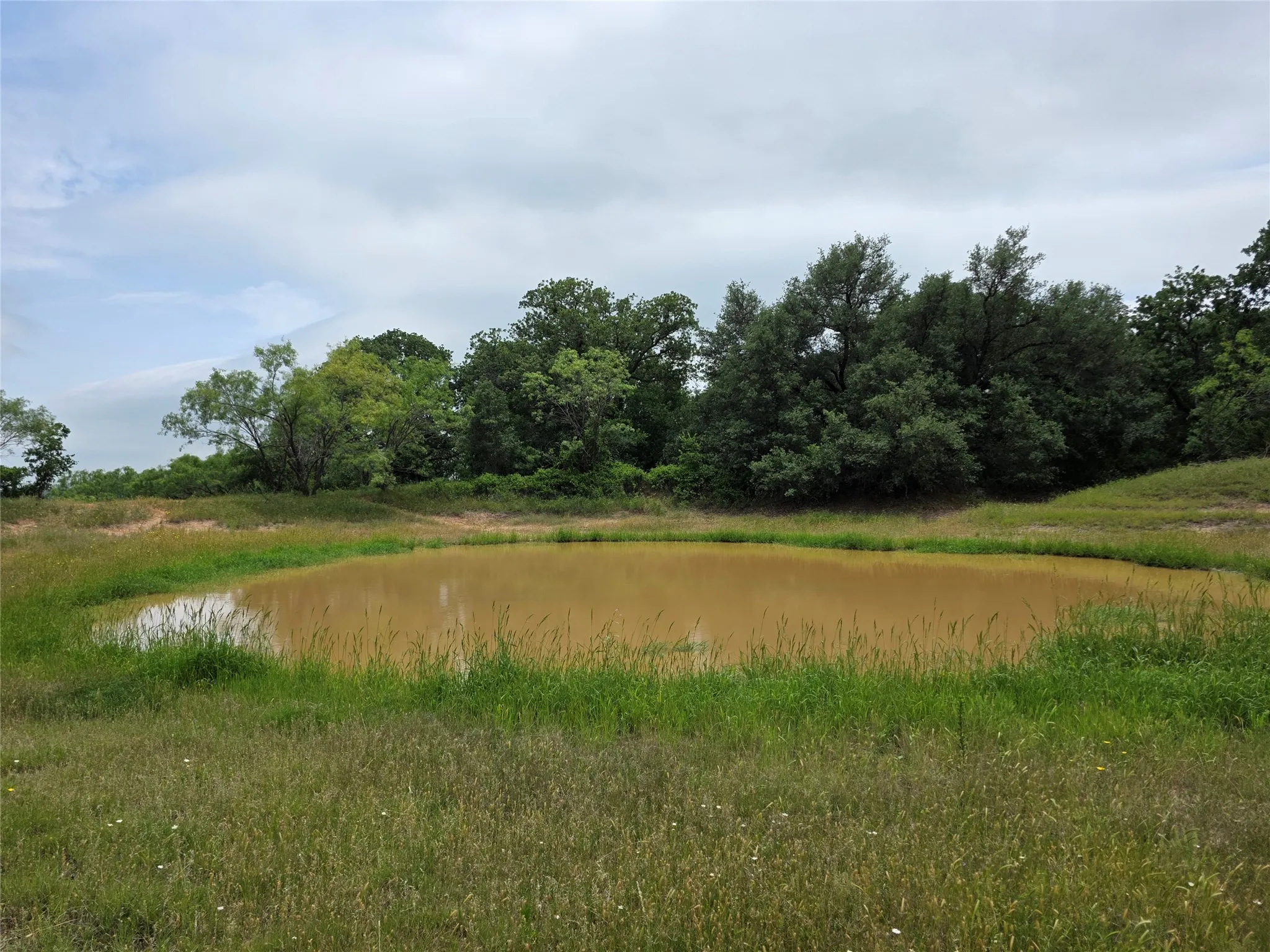 Ranch For Sale in Comanche County , 601 County Road 136, Comanche, Texas 76442, 0, 0, Garage spaces, 0 Sqft, built in 0, Price $624,875, mls#21271127, Real Estate Agent in Comanche, Homes For Sale in Comanche county, Homes For Sale in Comanche, Realtor in Comanche Texas, Real Estate Brokerage Independent Realty Texas, Luminita Cordes Realtor