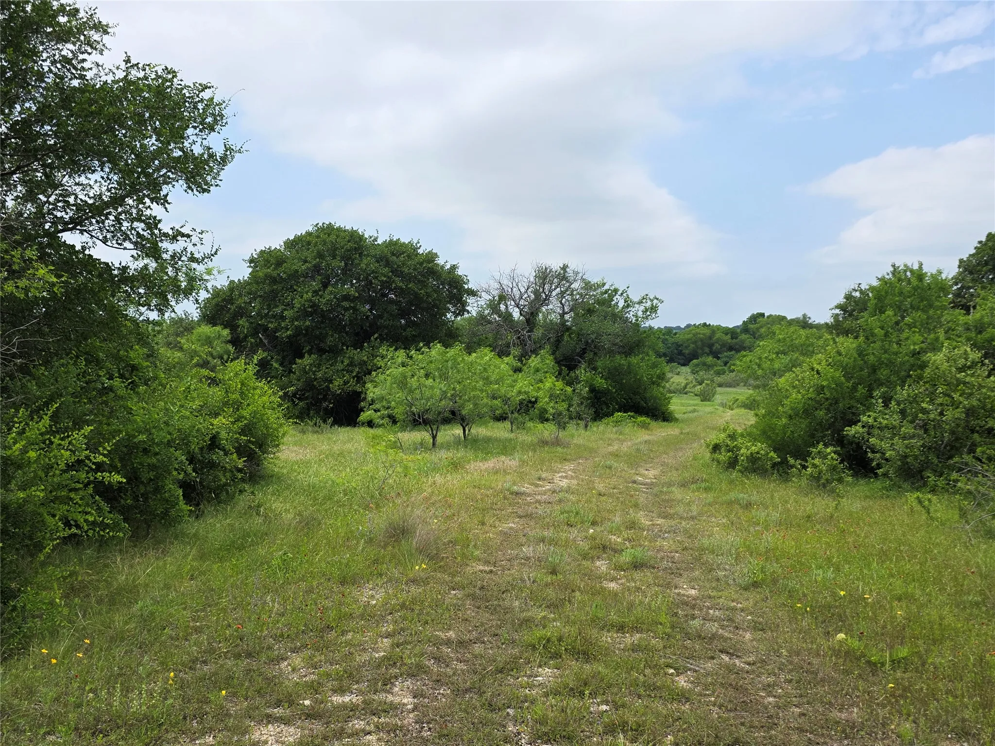 Ranch For Sale in Comanche County , 601 County Road 136, Comanche, Texas 76442, 0, 0, Garage spaces, 0 Sqft, built in 0, Price $624,875, mls#21271127, Real Estate Agent in Comanche, Homes For Sale in Comanche county, Homes For Sale in Comanche, Realtor in Comanche Texas, Real Estate Brokerage Independent Realty Texas, Luminita Cordes Realtor