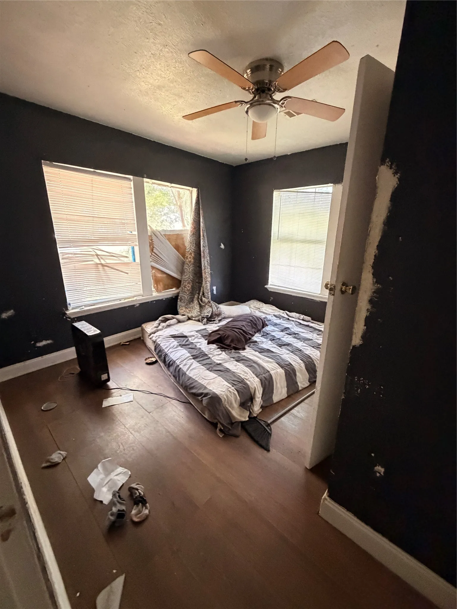 Room with dark walls, wood-finish flooring, and multiple windows