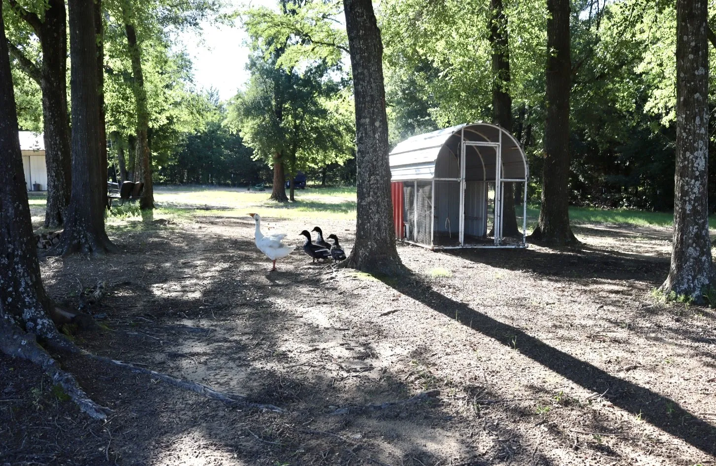 Single Family Residence For Sale in Fannin County , 387 County Road 2101, Ivanhoe, Texas 75447, 2 Bedroom, 1 Bathroom, Garage spaces, 1,336 Sqft, built in 1950, mls#21271147, Real Estate Agent in Ivanhoe, Homes For Sale in Fannin county, Homes For Sale in Ivanhoe, Realtor in Ivanhoe Texas, Real Estate Brokerage Independent Realty Texas, Luminita Cordes Realtor