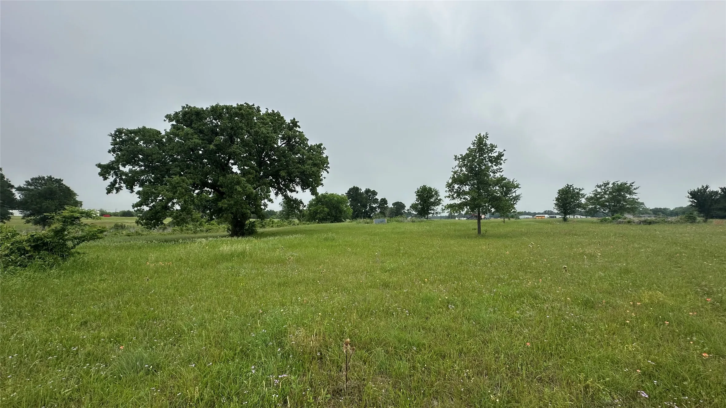 Single Family Residence For Sale in Limestone County , 2642 Hwy 84 W, Mexia, Texas 76667, 3 Bedrooms, 2 Bathrooms, 2 Garage spaces, 1,872 Sqft, built in 1985, Price $775,000, mls#21268759, Real Estate Agent in Mexia, Homes For Sale in Limestone county, Homes For Sale in Mexia, Realtor in Mexia Texas, Real Estate Brokerage Independent Realty Texas, Luminita Cordes Realtor