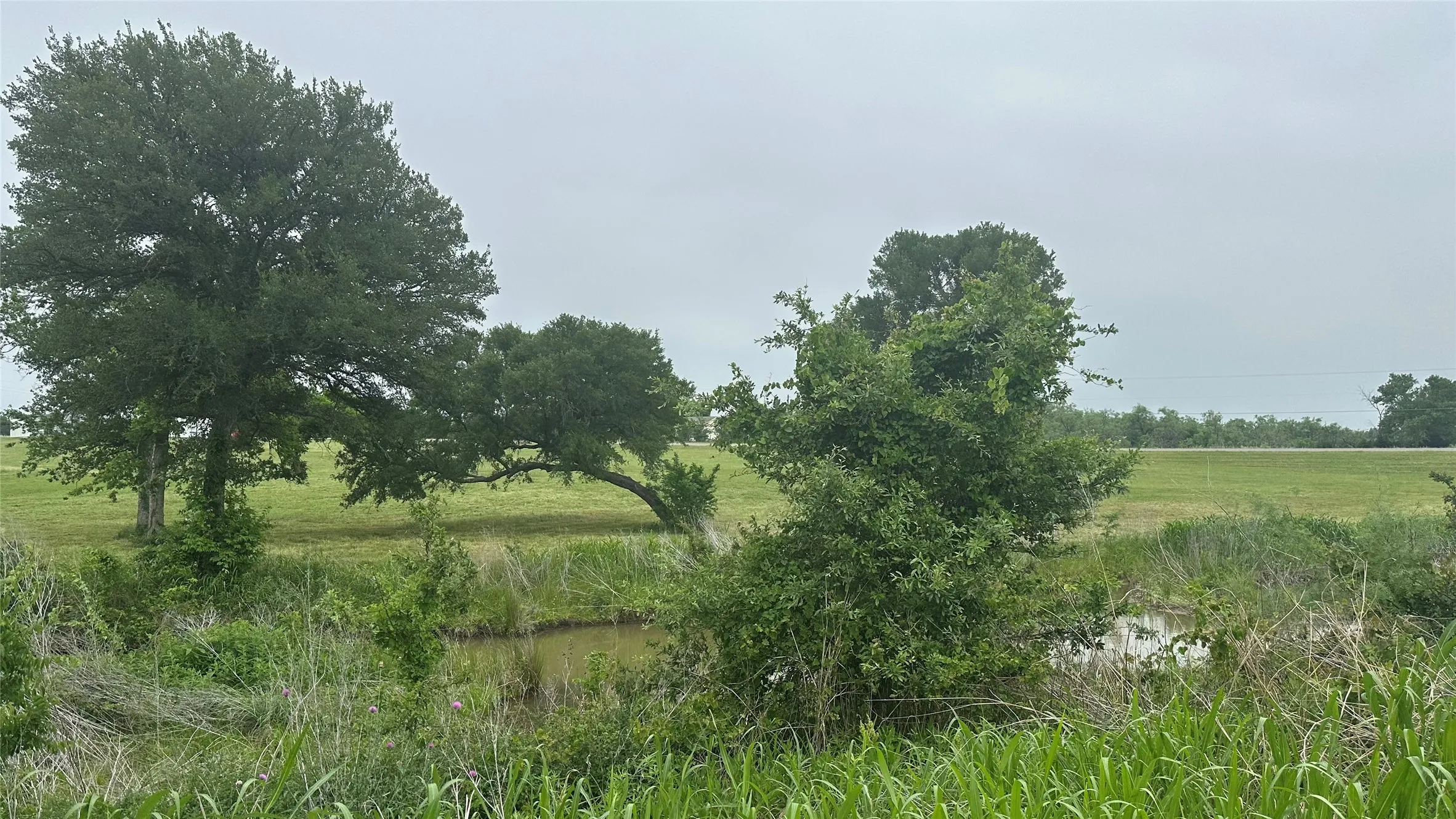 Single Family Residence For Sale in Limestone County , 2642 Hwy 84 W, Mexia, Texas 76667, 3 Bedrooms, 2 Bathrooms, 2 Garage spaces, 1,872 Sqft, built in 1985, Price $775,000, mls#21268759, Real Estate Agent in Mexia, Homes For Sale in Limestone county, Homes For Sale in Mexia, Realtor in Mexia Texas, Real Estate Brokerage Independent Realty Texas, Luminita Cordes Realtor