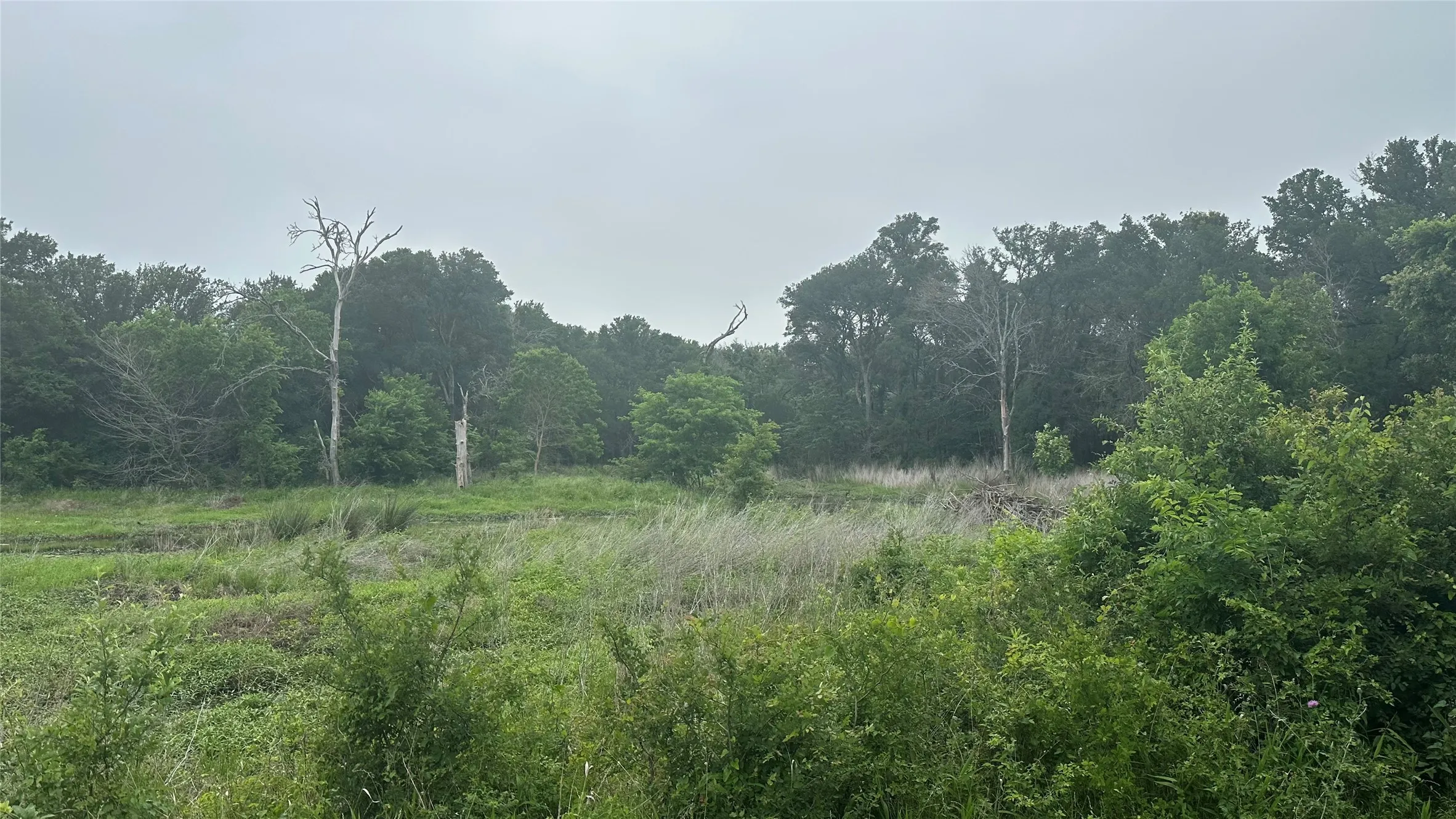 Expansive natural landscape featuring lush greenery, mature trees, and a mix of grassy and wooded areas
