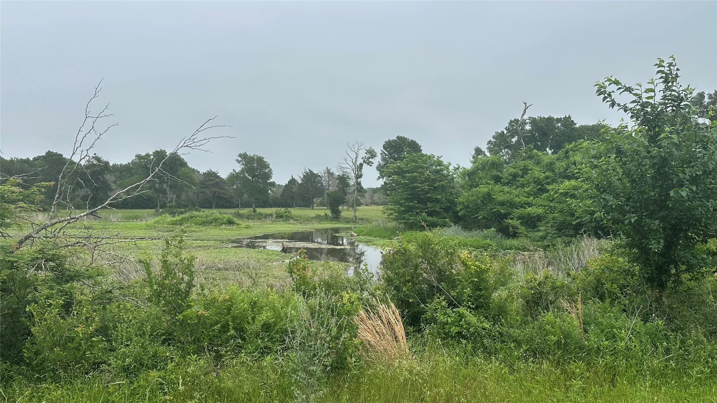 Single Family Residence For Sale in Limestone County , 2642 Hwy 84 W, Mexia, Texas 76667, 3 Bedrooms, 2 Bathrooms, 2 Garage spaces, 1,872 Sqft, built in 1985, Price $775,000, mls#21268759, Real Estate Agent in Mexia, Homes For Sale in Limestone county, Homes For Sale in Mexia, Realtor in Mexia Texas, Real Estate Brokerage Independent Realty Texas, Luminita Cordes Realtor