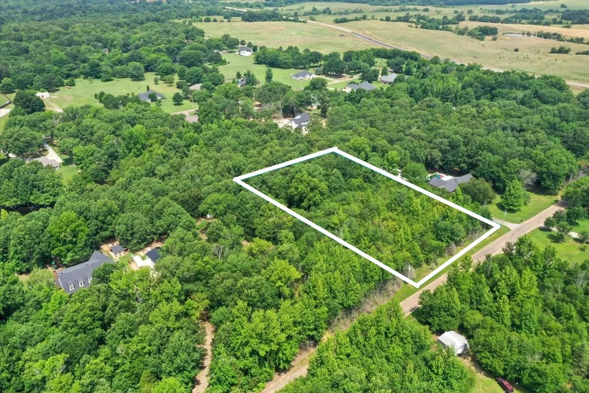 Unimproved Land For Sale in Titus County , TBD CR 4425, Mt Pleasant, Texas 75455, 0, 0, Garage spaces, 0 Sqft, built in 0, Price $79,000, mls#21267724, Real Estate Agent in Mt Pleasant, Homes For Sale in Titus county, Homes For Sale in Mt Pleasant, Realtor in Mt Pleasant Texas, Real Estate Brokerage Independent Realty Texas, Luminita Cordes Realtor