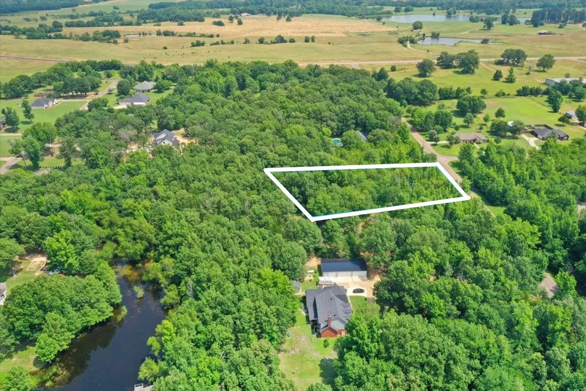Unimproved Land For Sale in Titus County , TBD CR 4425, Mt Pleasant, Texas 75455, 0, 0, Garage spaces, 0 Sqft, built in 0, Price $79,000, mls#21267724, Real Estate Agent in Mt Pleasant, Homes For Sale in Titus county, Homes For Sale in Mt Pleasant, Realtor in Mt Pleasant Texas, Real Estate Brokerage Independent Realty Texas, Luminita Cordes Realtor