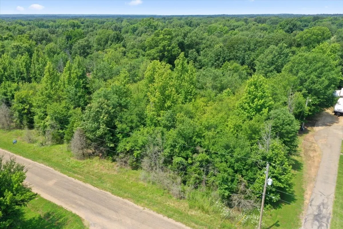 Unimproved Land For Sale in Titus County , TBD CR 4425, Mt Pleasant, Texas 75455, 0, 0, Garage spaces, 0 Sqft, built in 0, Price $79,000, mls#21267724, Real Estate Agent in Mt Pleasant, Homes For Sale in Titus county, Homes For Sale in Mt Pleasant, Realtor in Mt Pleasant Texas, Real Estate Brokerage Independent Realty Texas, Luminita Cordes Realtor