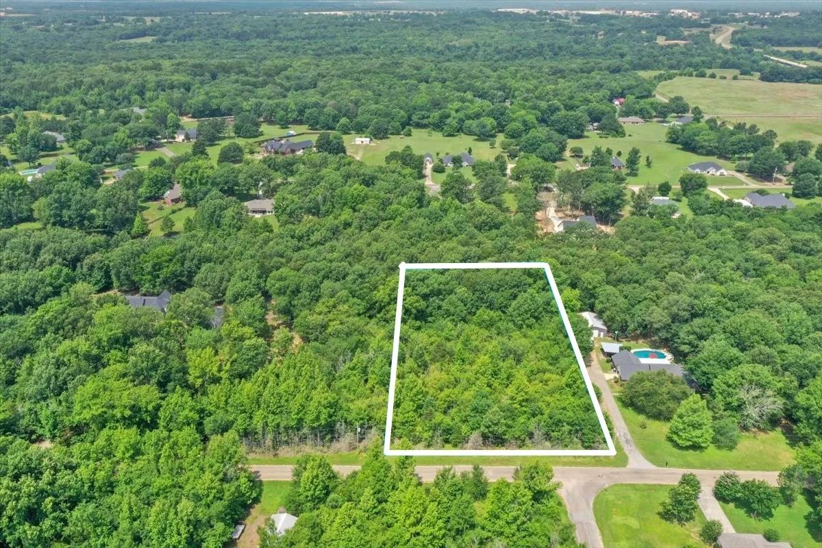 Unimproved Land For Sale in Titus County , TBD CR 4425, Mt Pleasant, Texas 75455, 0, 0, Garage spaces, 0 Sqft, built in 0, Price $79,000, mls#21267724, Real Estate Agent in Mt Pleasant, Homes For Sale in Titus county, Homes For Sale in Mt Pleasant, Realtor in Mt Pleasant Texas, Real Estate Brokerage Independent Realty Texas, Luminita Cordes Realtor