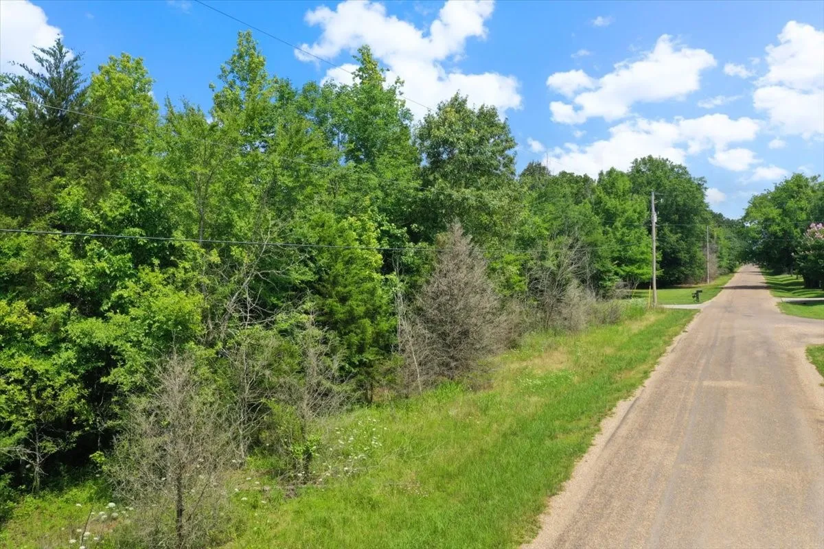 Unimproved Land For Sale in Titus County , TBD CR 4425, Mt Pleasant, Texas 75455, 0, 0, Garage spaces, 0 Sqft, built in 0, Price $79,000, mls#21267724, Real Estate Agent in Mt Pleasant, Homes For Sale in Titus county, Homes For Sale in Mt Pleasant, Realtor in Mt Pleasant Texas, Real Estate Brokerage Independent Realty Texas, Luminita Cordes Realtor