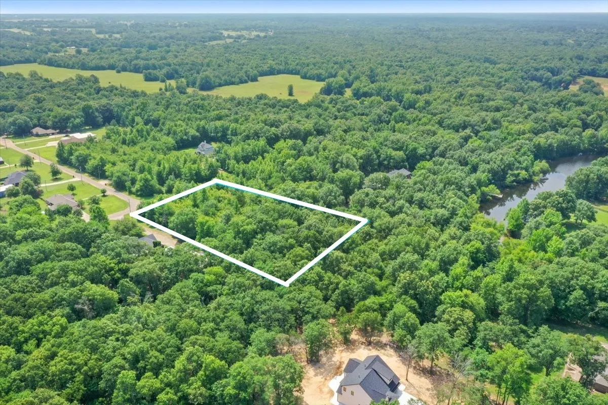 Unimproved Land For Sale in Titus County , TBD CR 4425, Mt Pleasant, Texas 75455, 0, 0, Garage spaces, 0 Sqft, built in 0, Price $79,000, mls#21267724, Real Estate Agent in Mt Pleasant, Homes For Sale in Titus county, Homes For Sale in Mt Pleasant, Realtor in Mt Pleasant Texas, Real Estate Brokerage Independent Realty Texas, Luminita Cordes Realtor