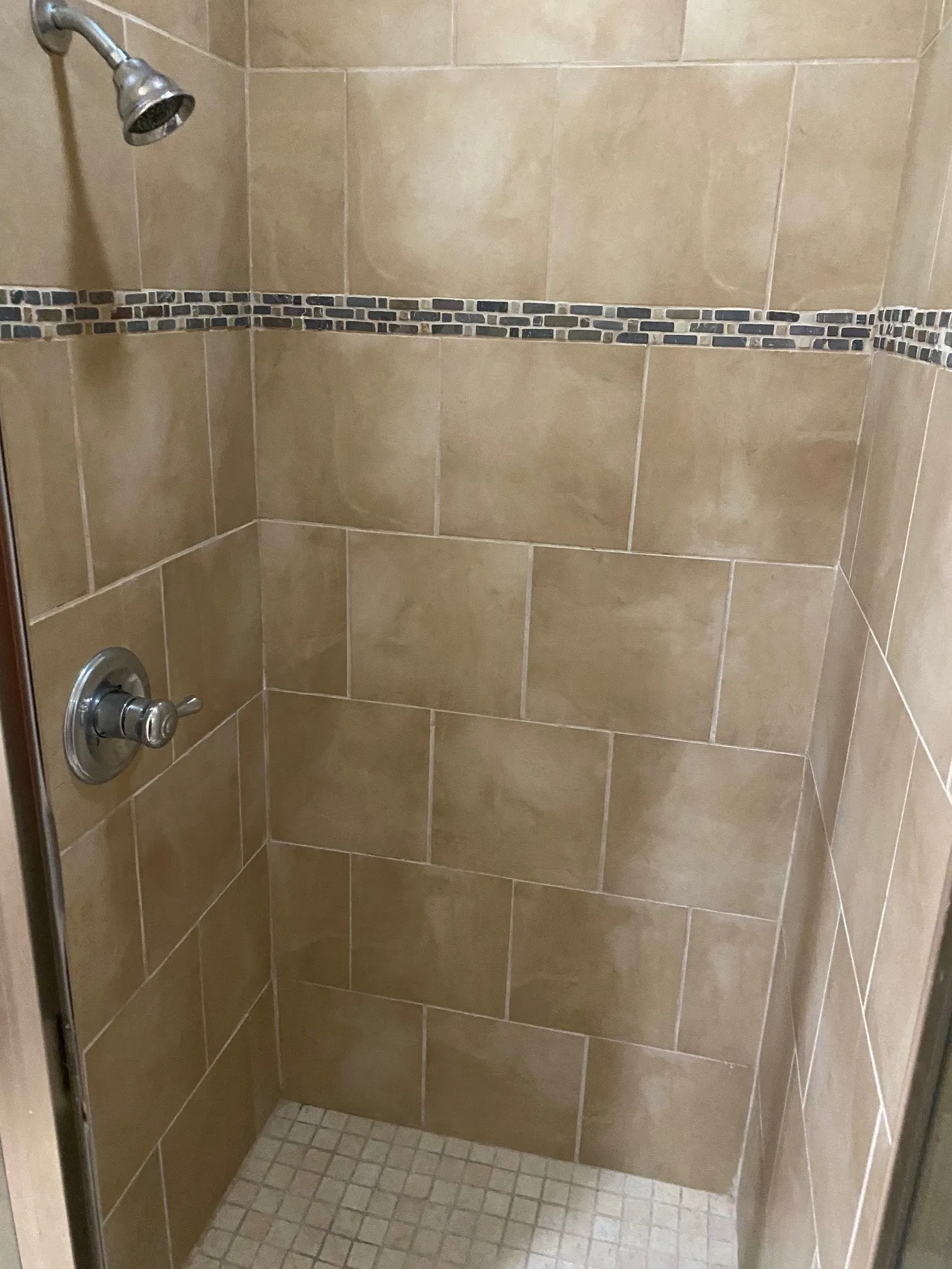 Master Bath Shower
