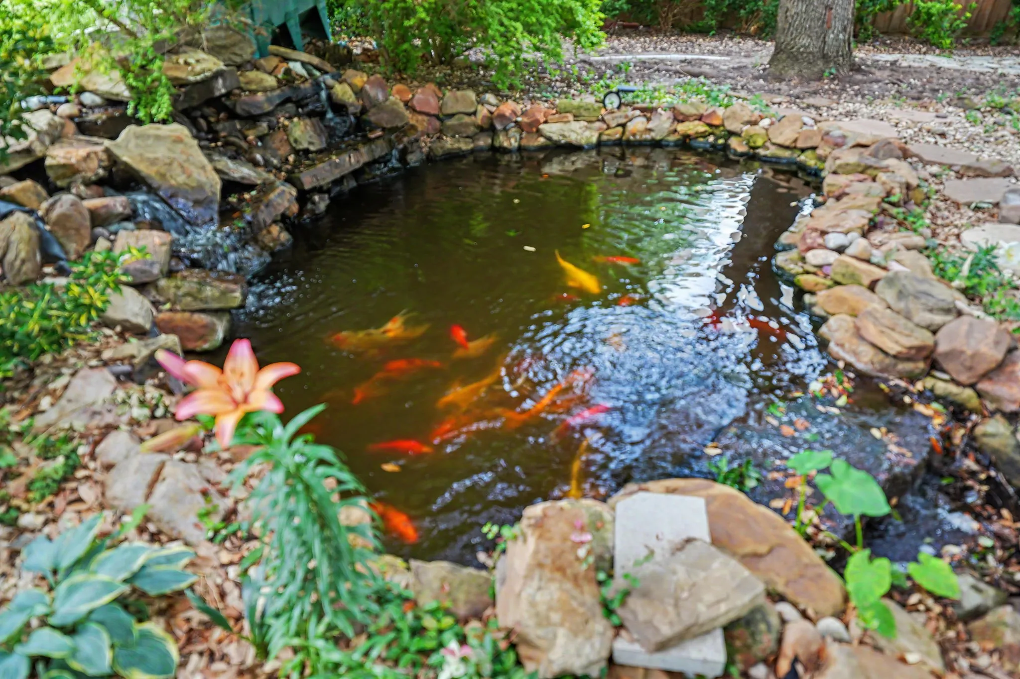 Koi Ponds