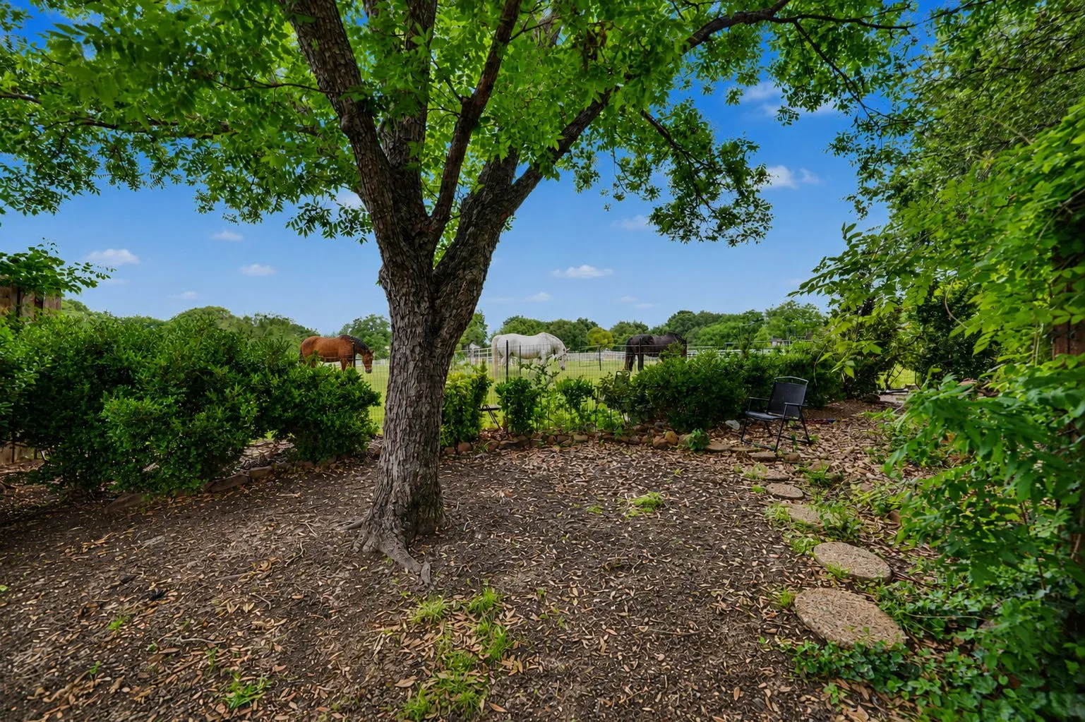 Backyard Oasis