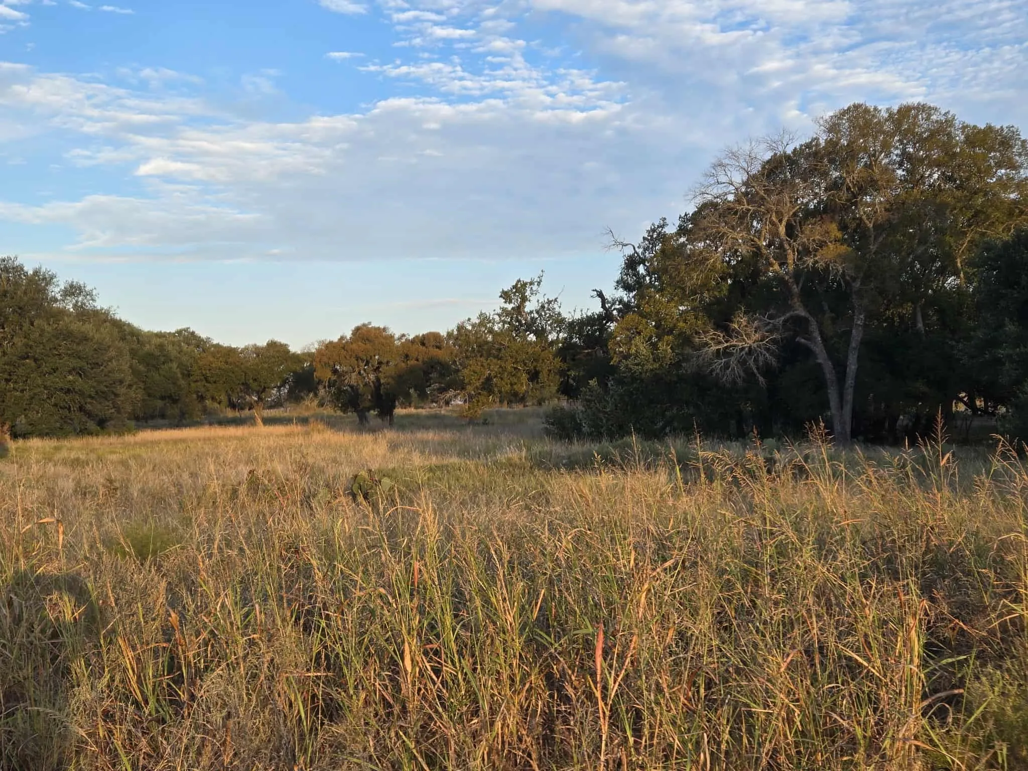 Unimproved Land For Sale in Coryell County , 317 Yellowstone Drive, Oglesby, Texas 76561, 0, 0, Garage spaces, 0 Sqft, built in 0, Price $180,000, mls#21271431, Real Estate Agent in Oglesby, Homes For Sale in Coryell county, Homes For Sale in Oglesby, Realtor in Oglesby Texas, Real Estate Brokerage Independent Realty Texas, Luminita Cordes Realtor