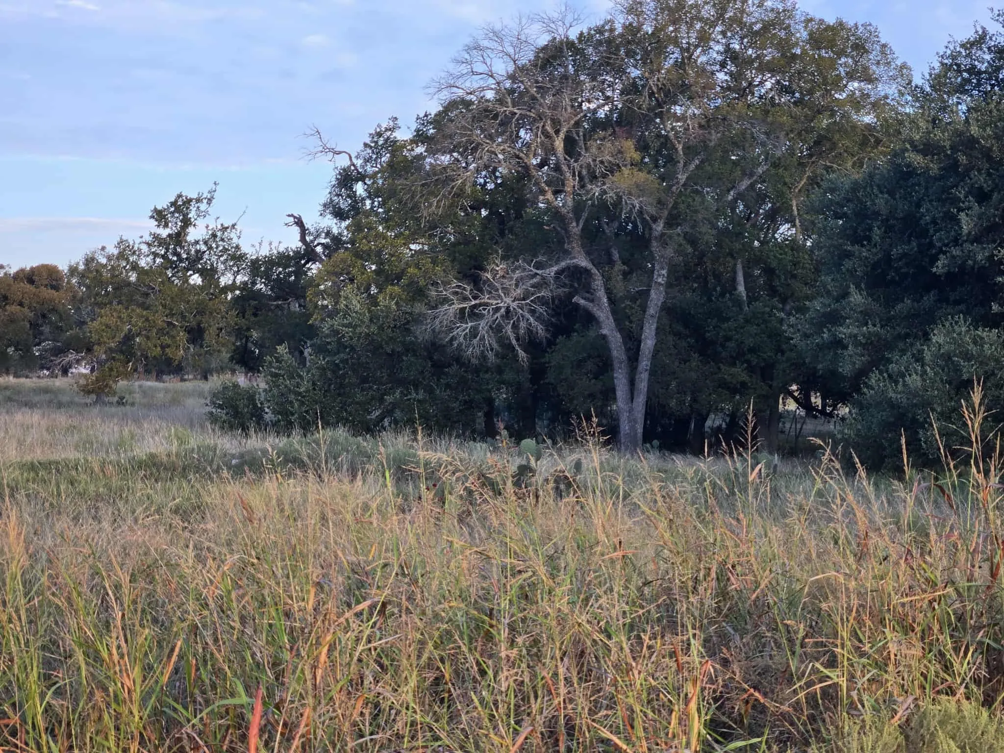 Unimproved Land For Sale in Coryell County , 317 Yellowstone Drive, Oglesby, Texas 76561, 0, 0, Garage spaces, 0 Sqft, built in 0, Price $180,000, mls#21271431, Real Estate Agent in Oglesby, Homes For Sale in Coryell county, Homes For Sale in Oglesby, Realtor in Oglesby Texas, Real Estate Brokerage Independent Realty Texas, Luminita Cordes Realtor