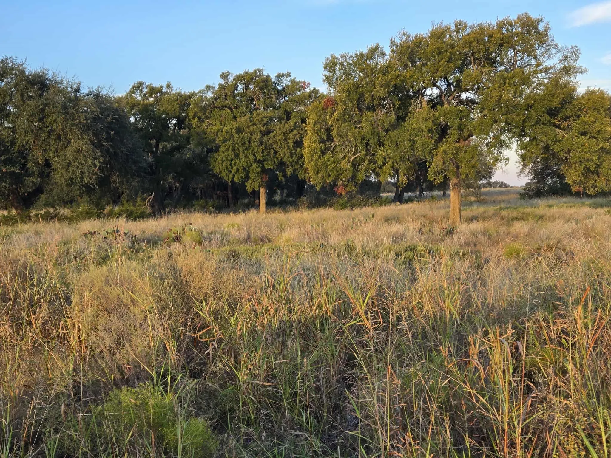 Unimproved Land For Sale in Coryell County , 317 Yellowstone Drive, Oglesby, Texas 76561, 0, 0, Garage spaces, 0 Sqft, built in 0, Price $180,000, mls#21271431, Real Estate Agent in Oglesby, Homes For Sale in Coryell county, Homes For Sale in Oglesby, Realtor in Oglesby Texas, Real Estate Brokerage Independent Realty Texas, Luminita Cordes Realtor