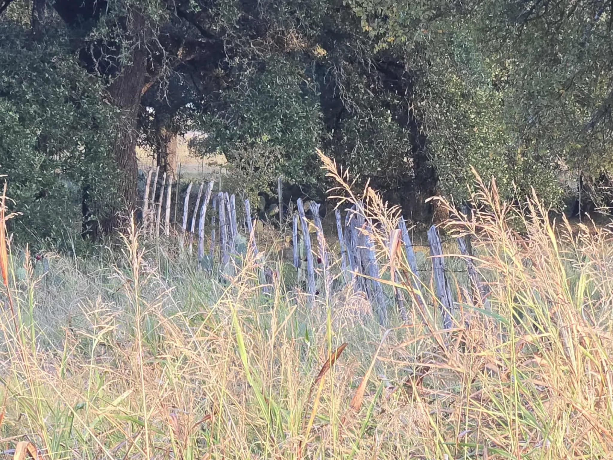 Unimproved Land For Sale in Coryell County , 317 Yellowstone Drive, Oglesby, Texas 76561, 0, 0, Garage spaces, 0 Sqft, built in 0, Price $180,000, mls#21271431, Real Estate Agent in Oglesby, Homes For Sale in Coryell county, Homes For Sale in Oglesby, Realtor in Oglesby Texas, Real Estate Brokerage Independent Realty Texas, Luminita Cordes Realtor