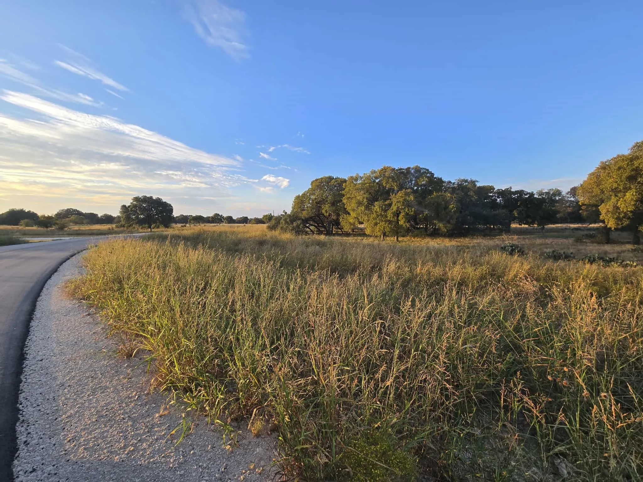 Unimproved Land For Sale in Coryell County , 317 Yellowstone Drive, Oglesby, Texas 76561, 0, 0, Garage spaces, 0 Sqft, built in 0, Price $180,000, mls#21271431, Real Estate Agent in Oglesby, Homes For Sale in Coryell county, Homes For Sale in Oglesby, Realtor in Oglesby Texas, Real Estate Brokerage Independent Realty Texas, Luminita Cordes Realtor