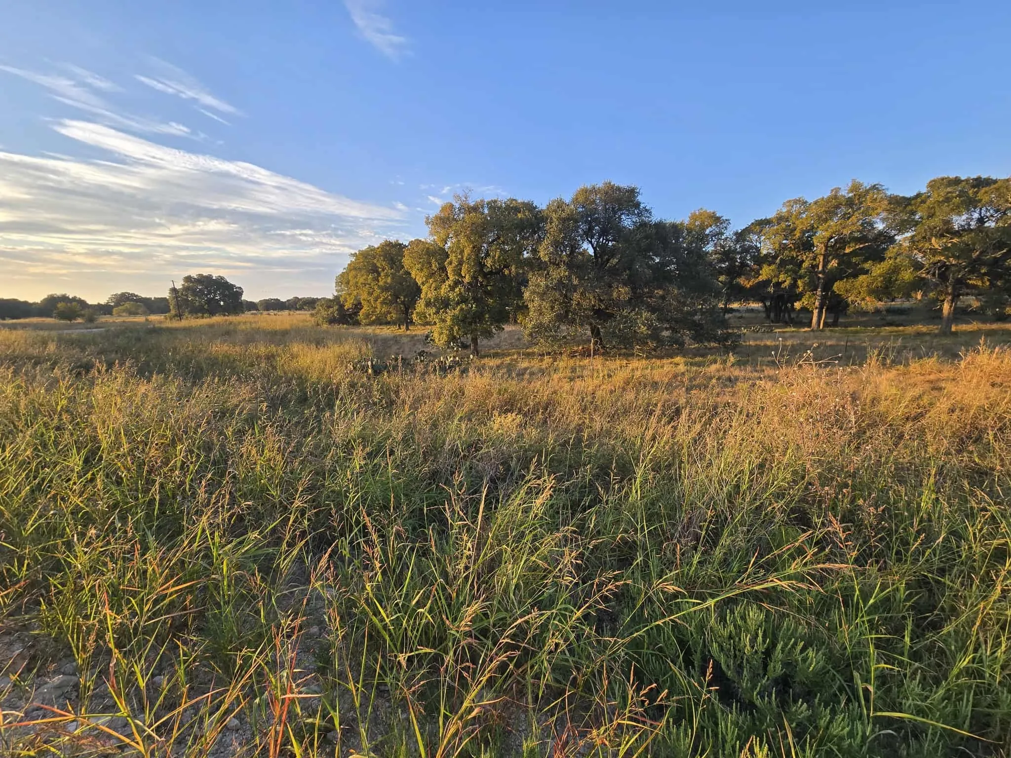 Unimproved Land For Sale in Coryell County , 317 Yellowstone Drive, Oglesby, Texas 76561, 0, 0, Garage spaces, 0 Sqft, built in 0, Price $180,000, mls#21271431, Real Estate Agent in Oglesby, Homes For Sale in Coryell county, Homes For Sale in Oglesby, Realtor in Oglesby Texas, Real Estate Brokerage Independent Realty Texas, Luminita Cordes Realtor